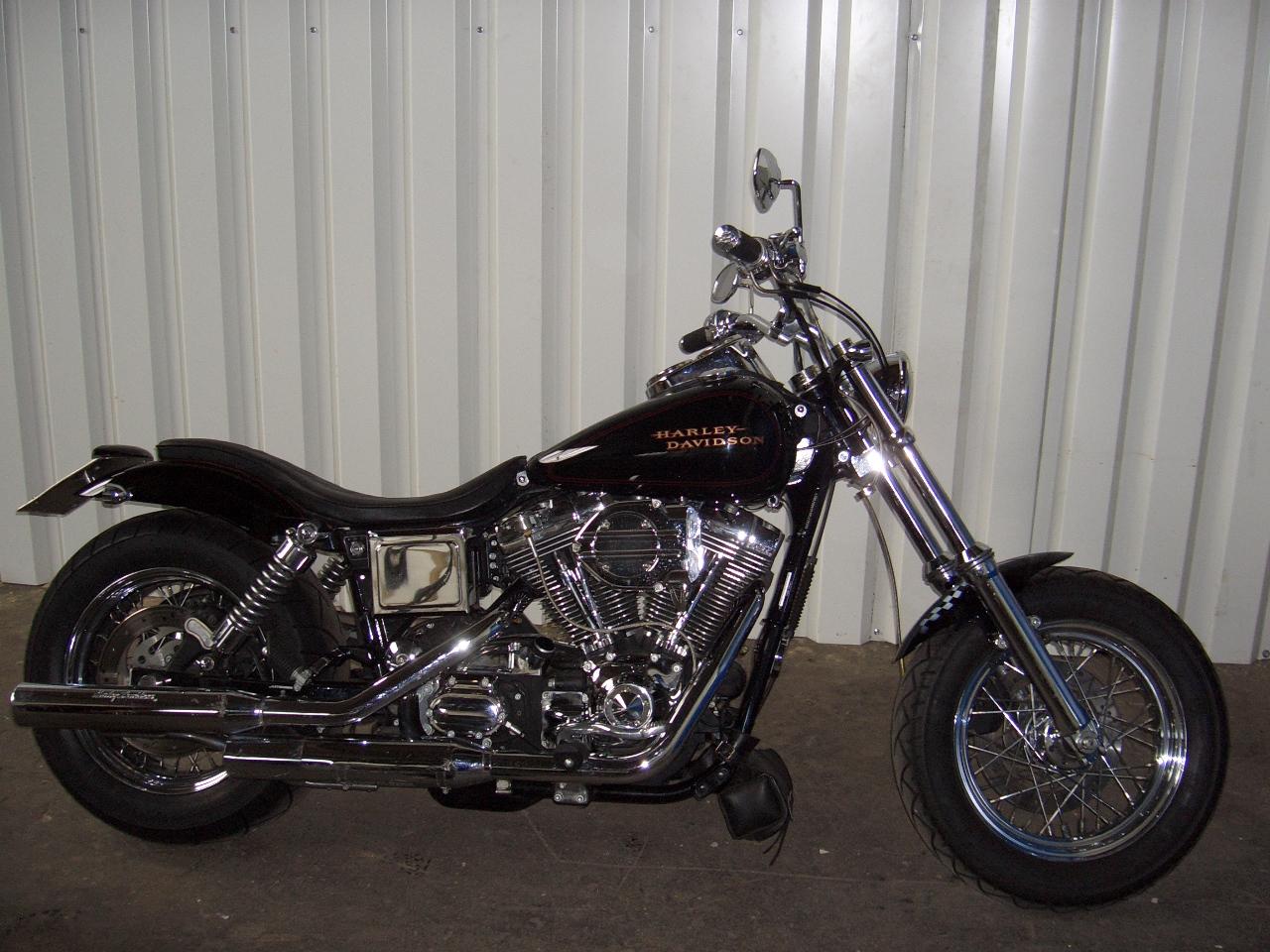 Tribune Dyna 29