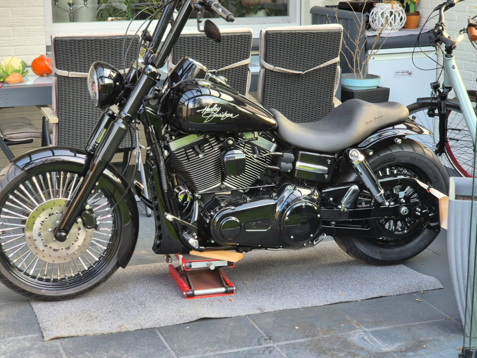 Tribune Dyna 1