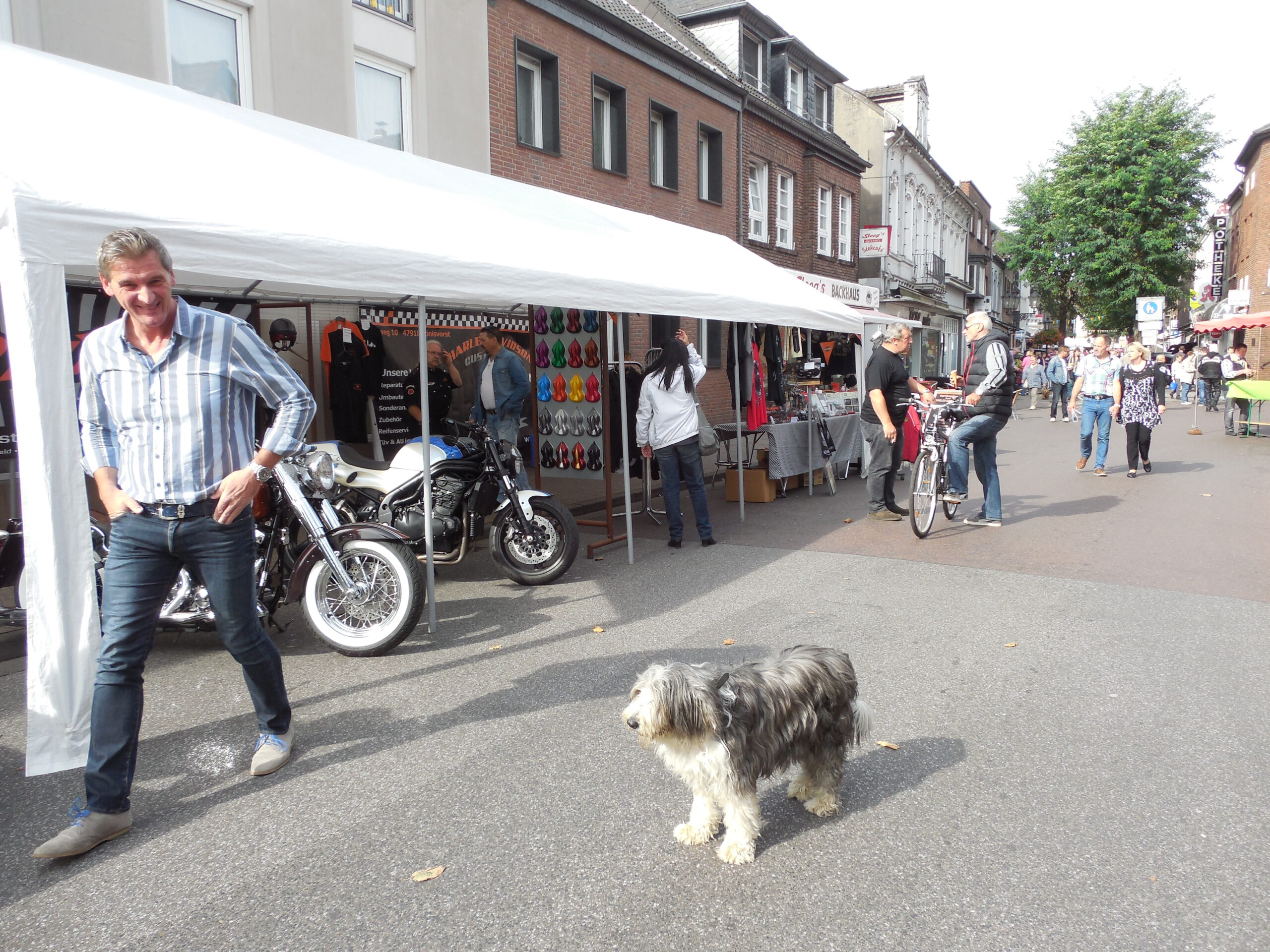 Tribune Auto Frischemarkt 2014 1