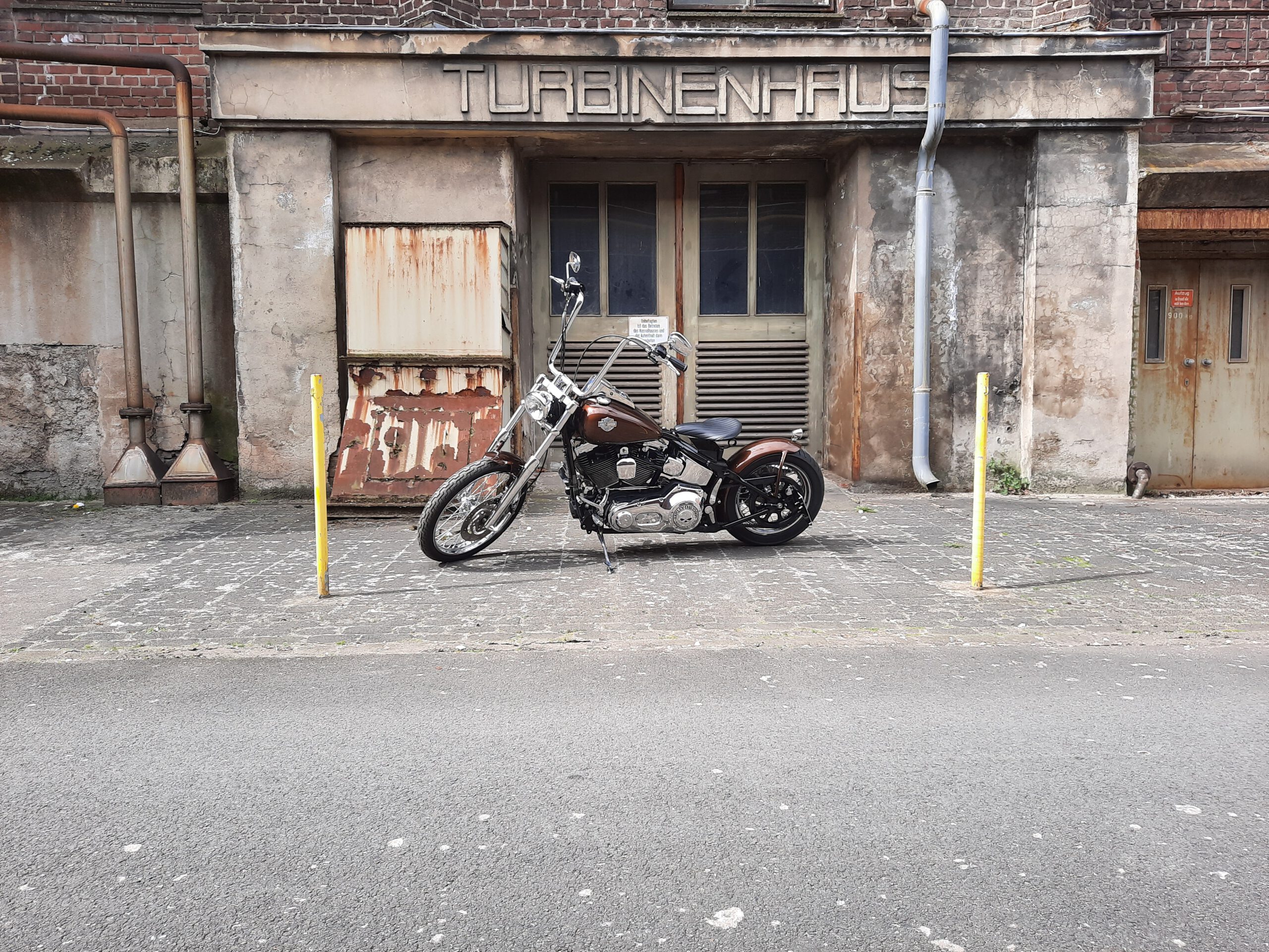 Tribune Softail 37