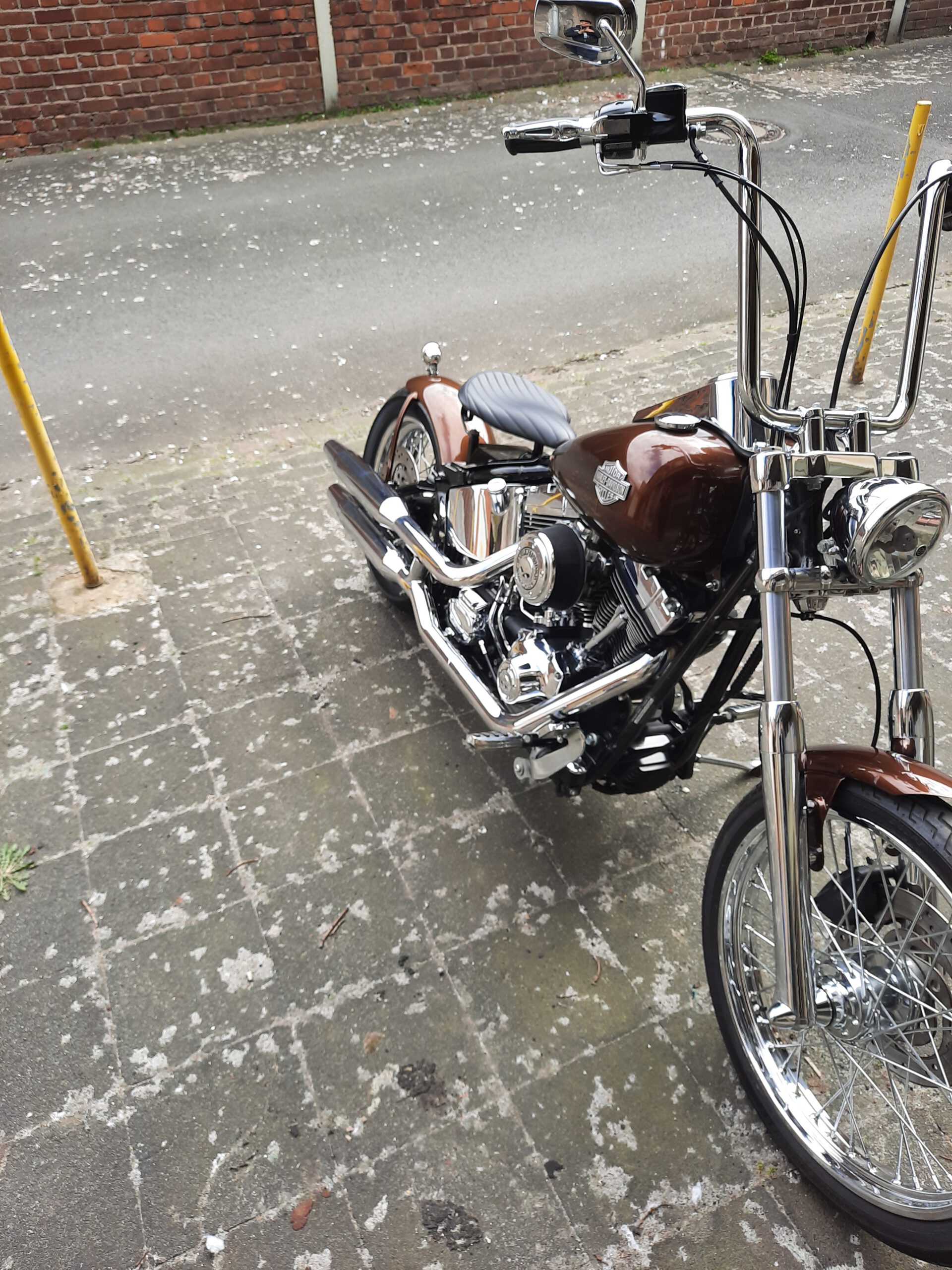 Tribune Softail 38