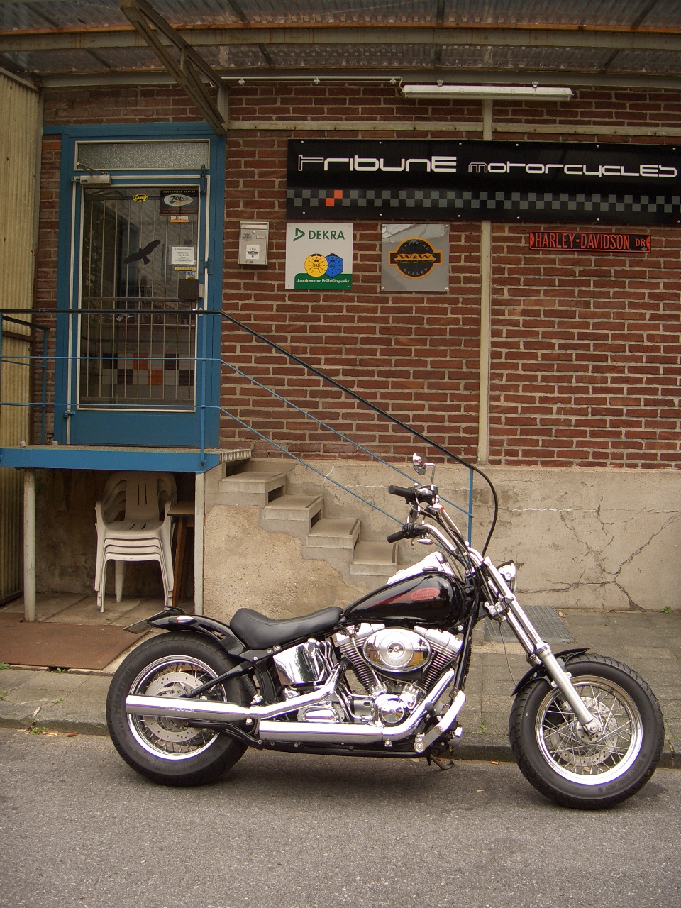 Tribune Softail 19
