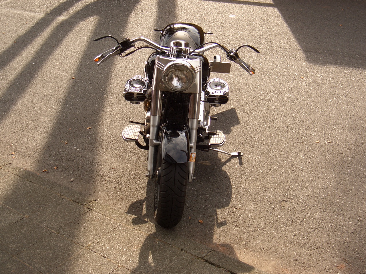 Tribune Softail 21