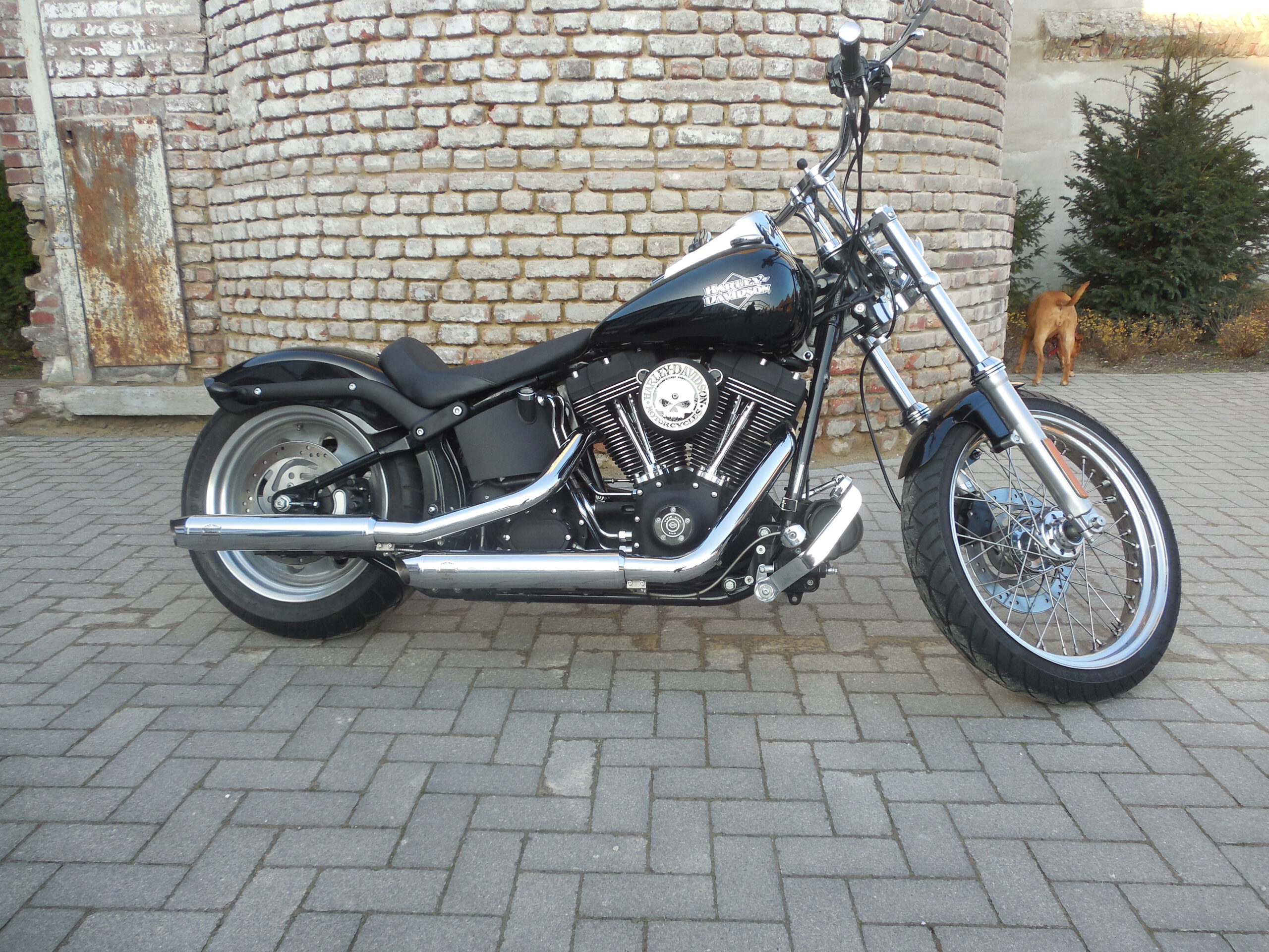 Tribune Softail 64