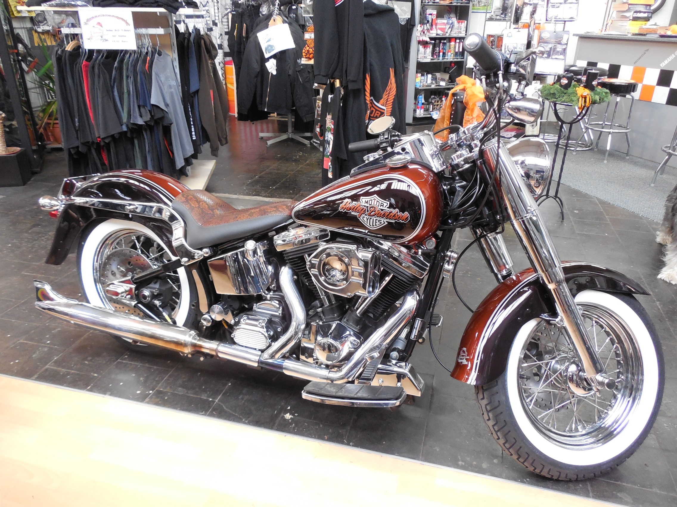 Tribune Softail 50