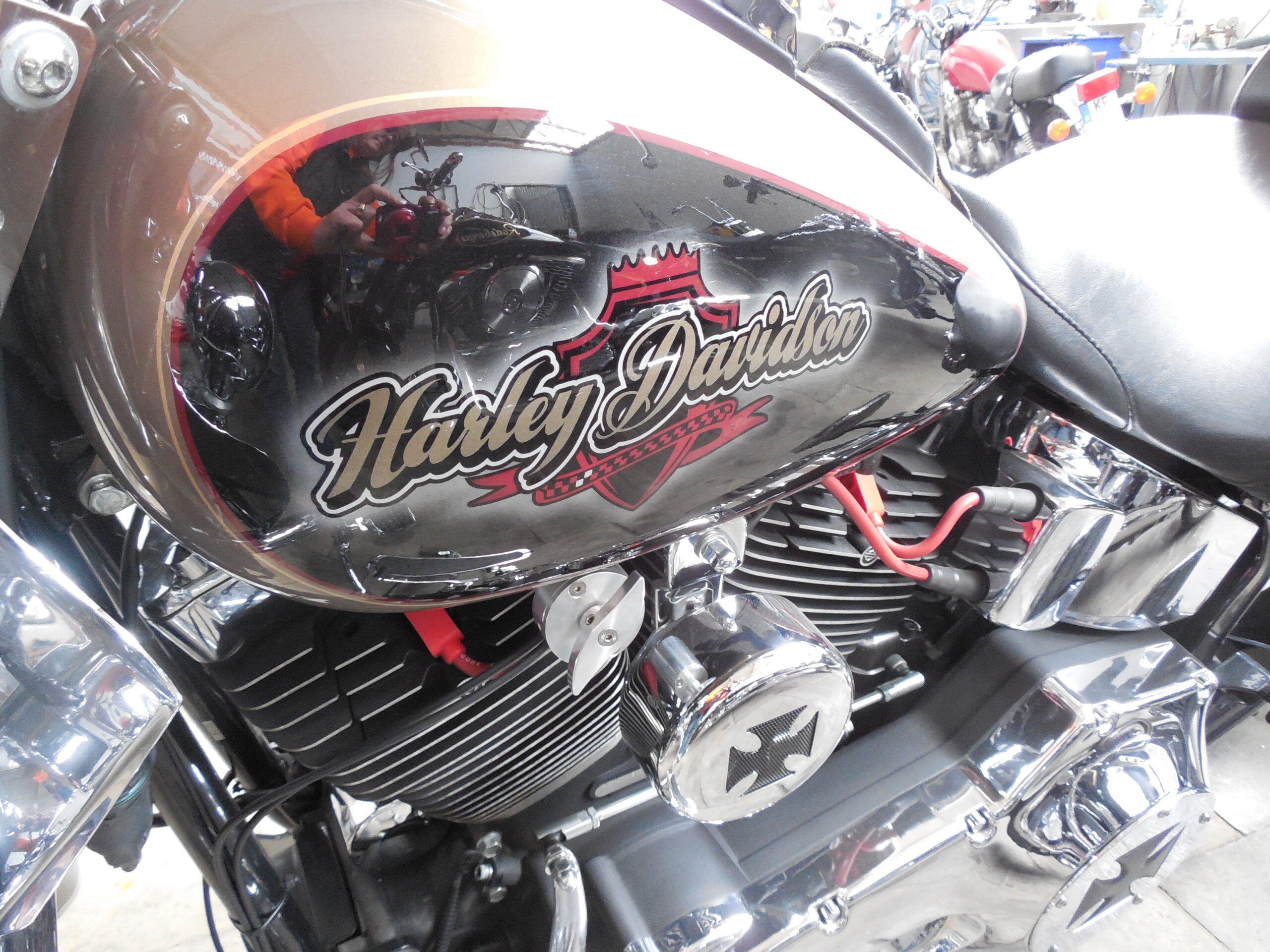 Tribune Softail 144