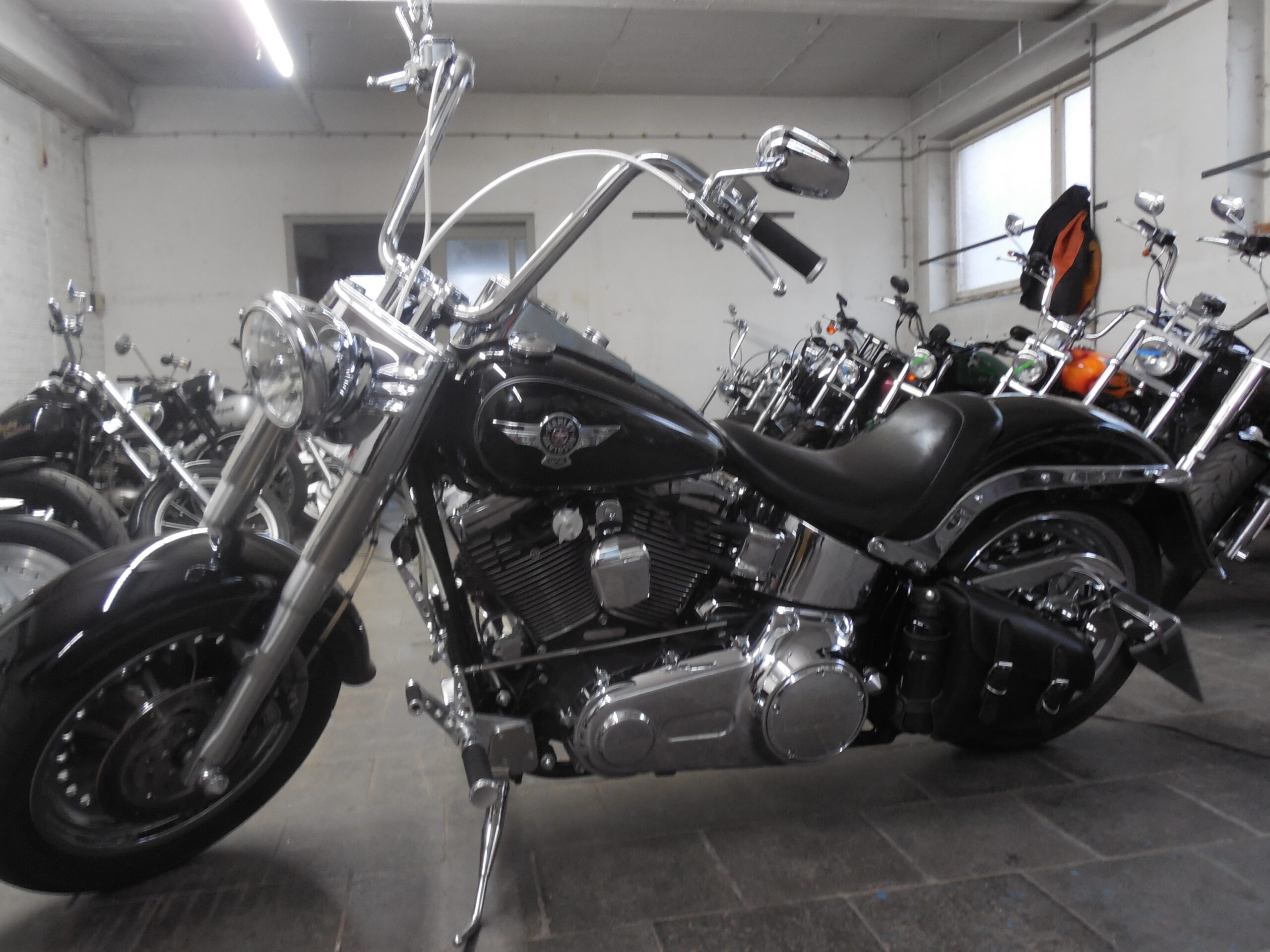Tribune Softail 87