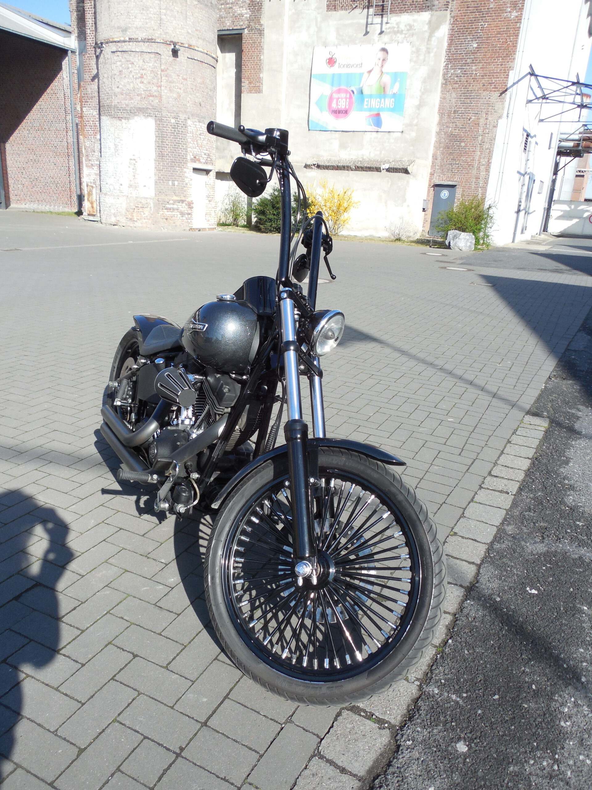 Tribune Softail 43