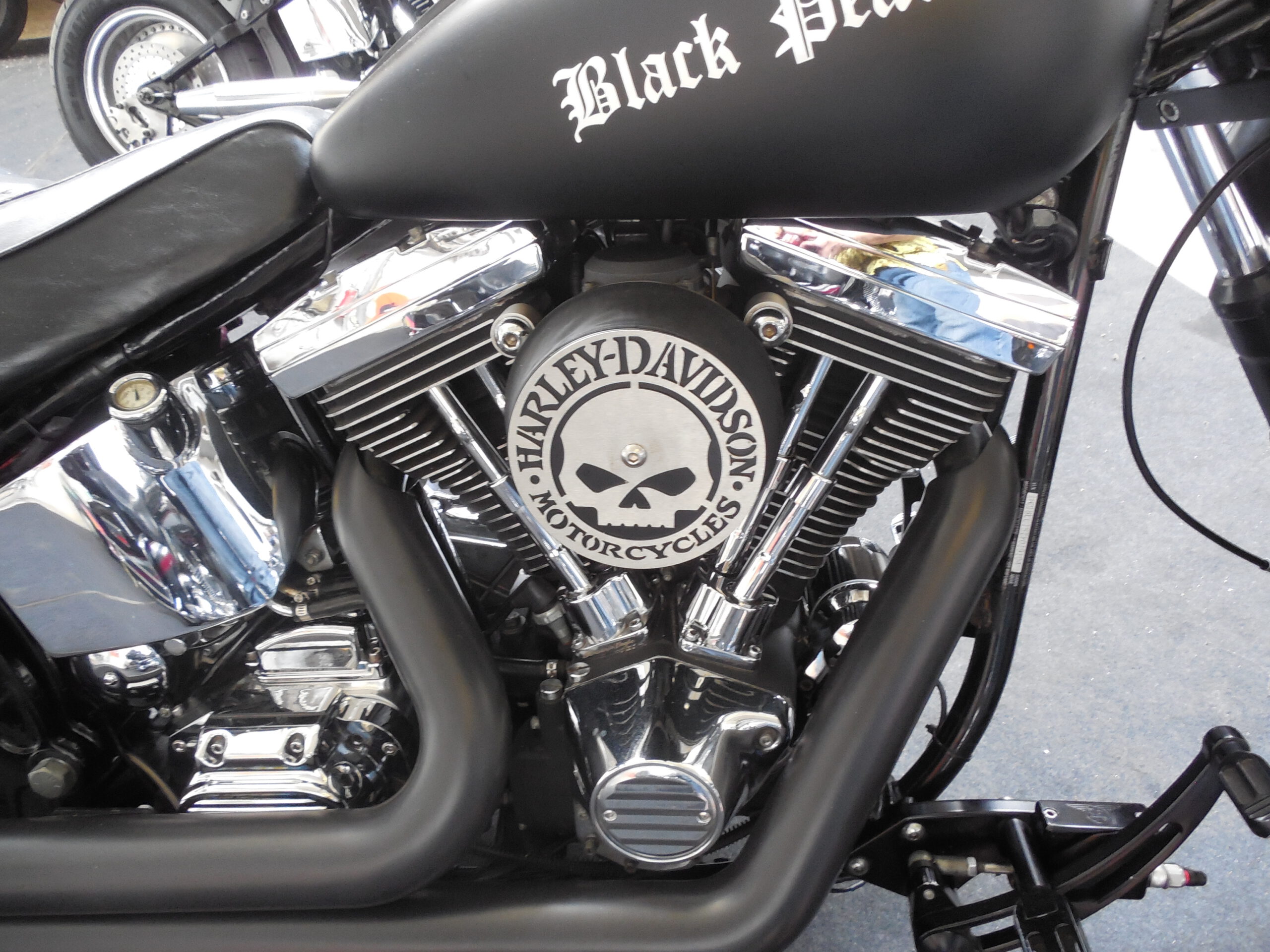 Tribune Softail 35