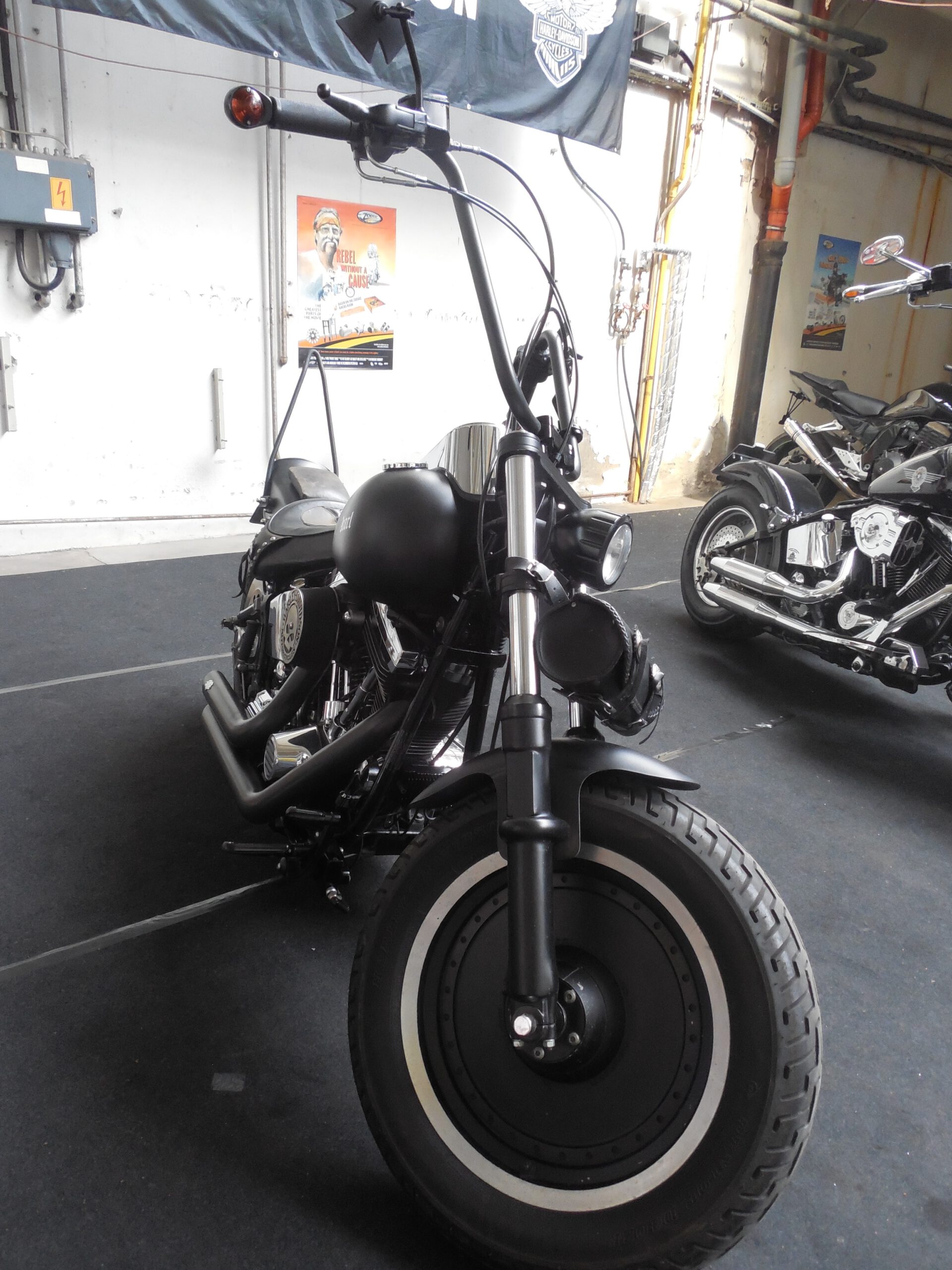 Tribune Softail 36