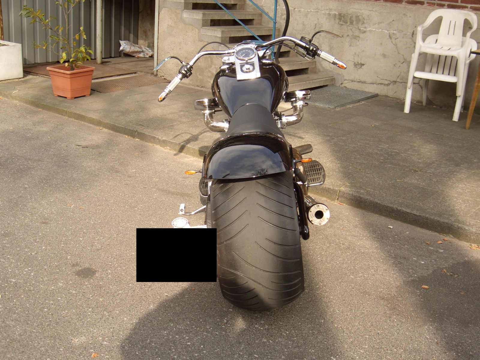 Tribune Softail 24