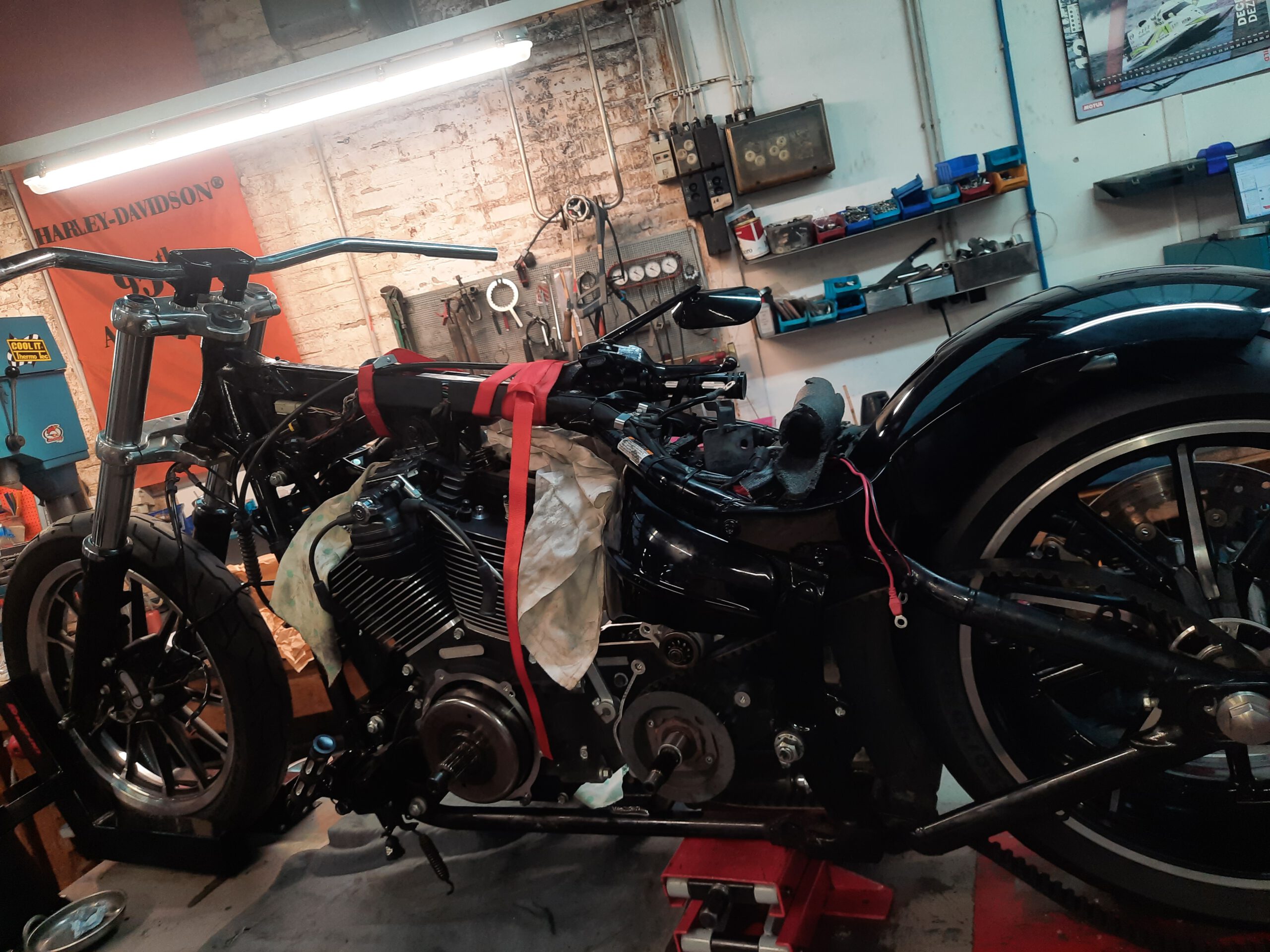 Tribune Softail 31