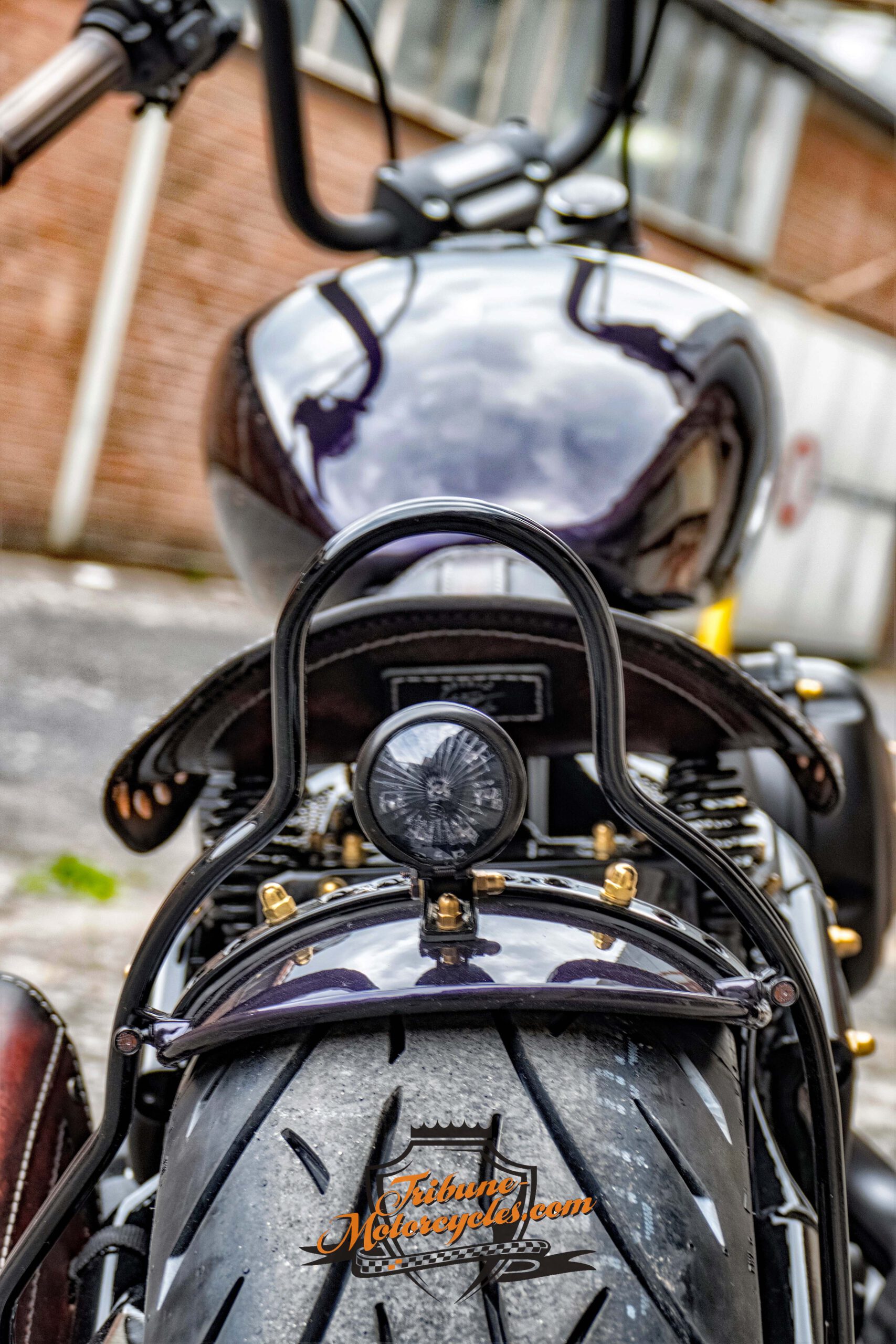 Tribune Softail 116