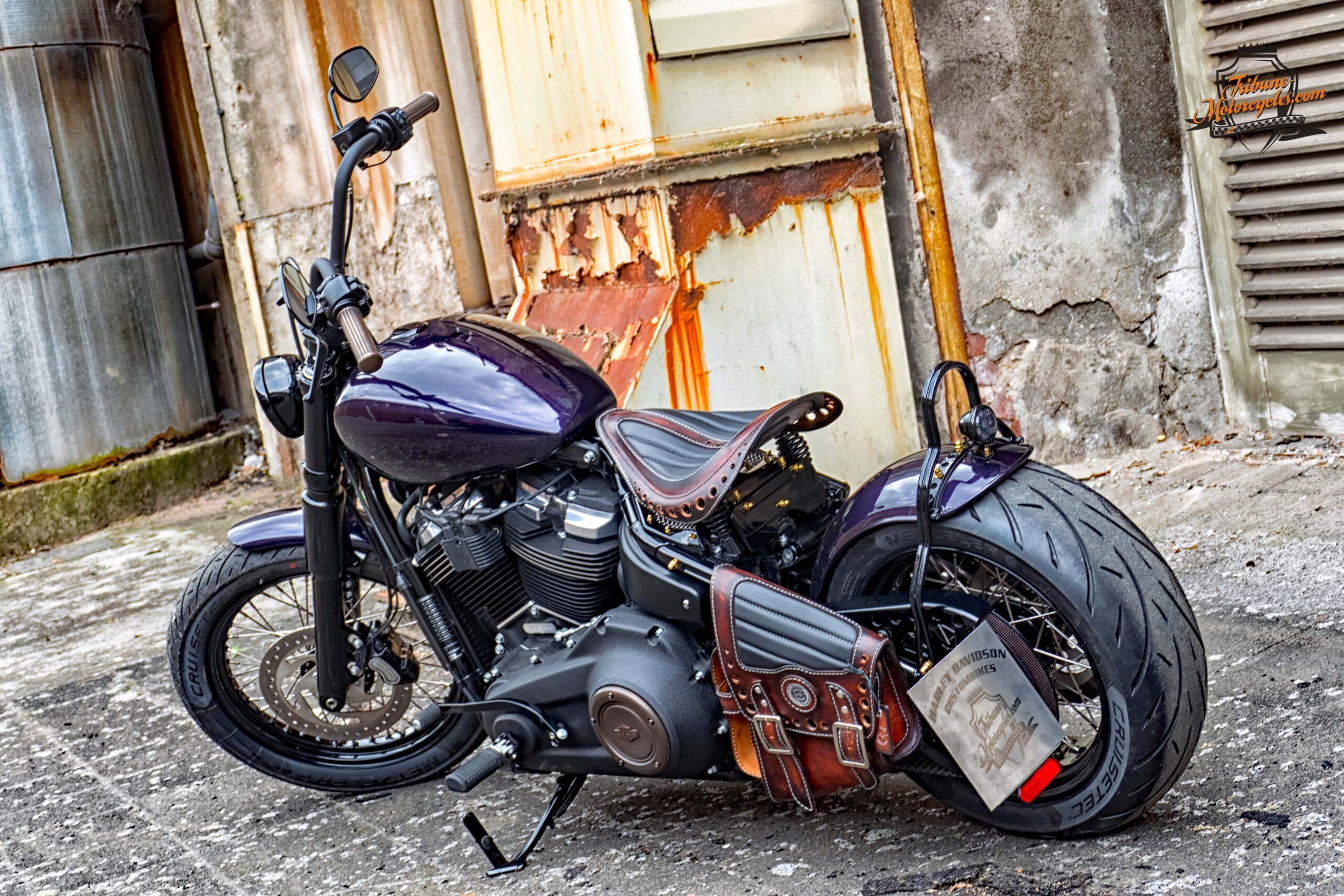 Tribune Softail 115