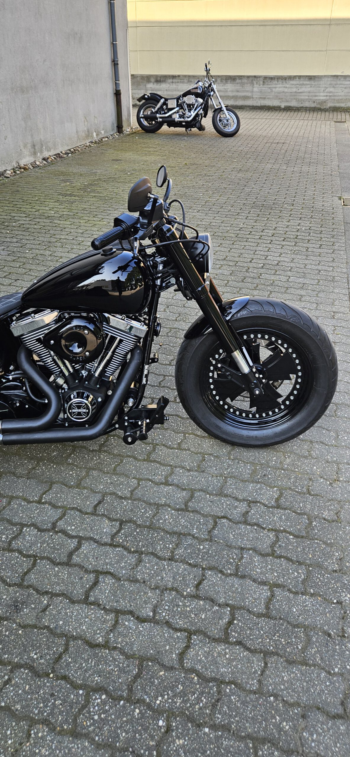 Tribune Softail 5