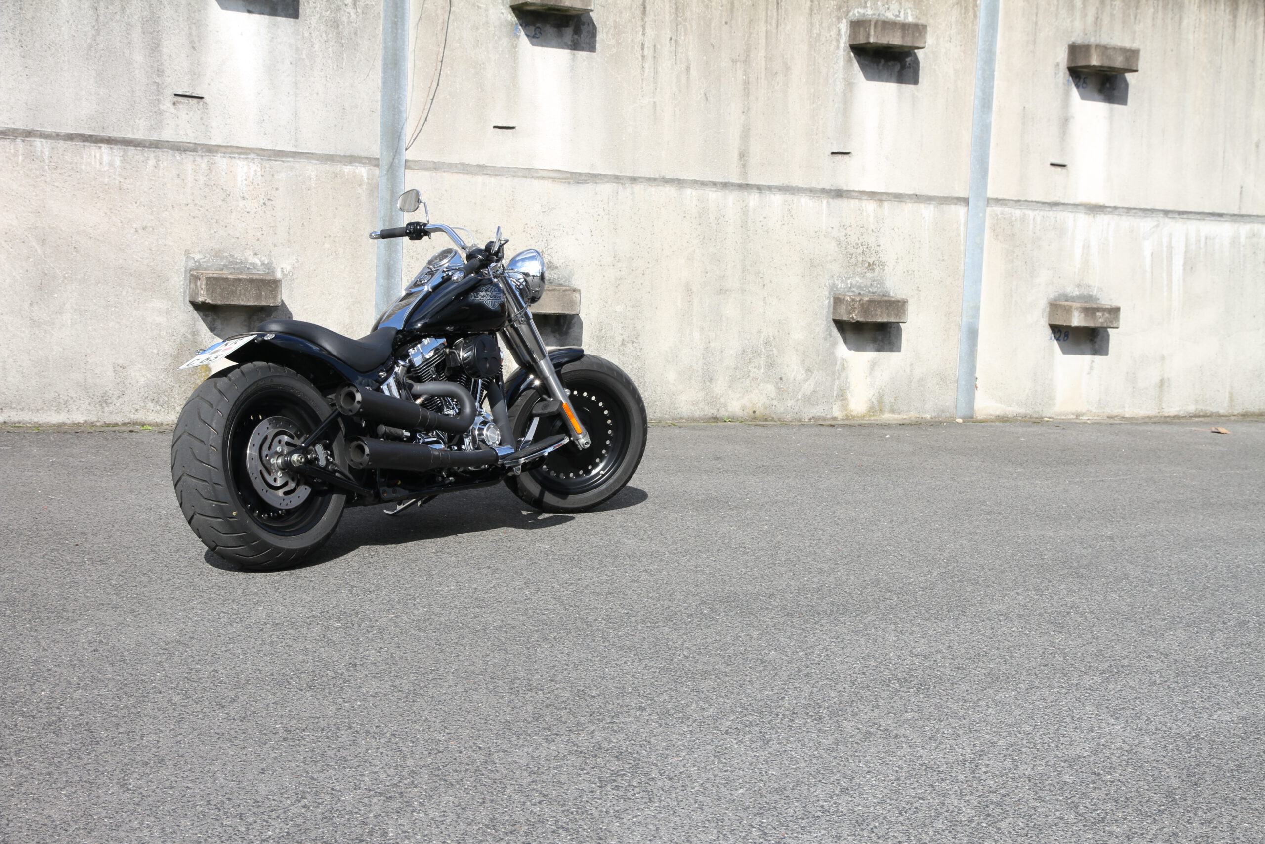 Tribune Softail 1