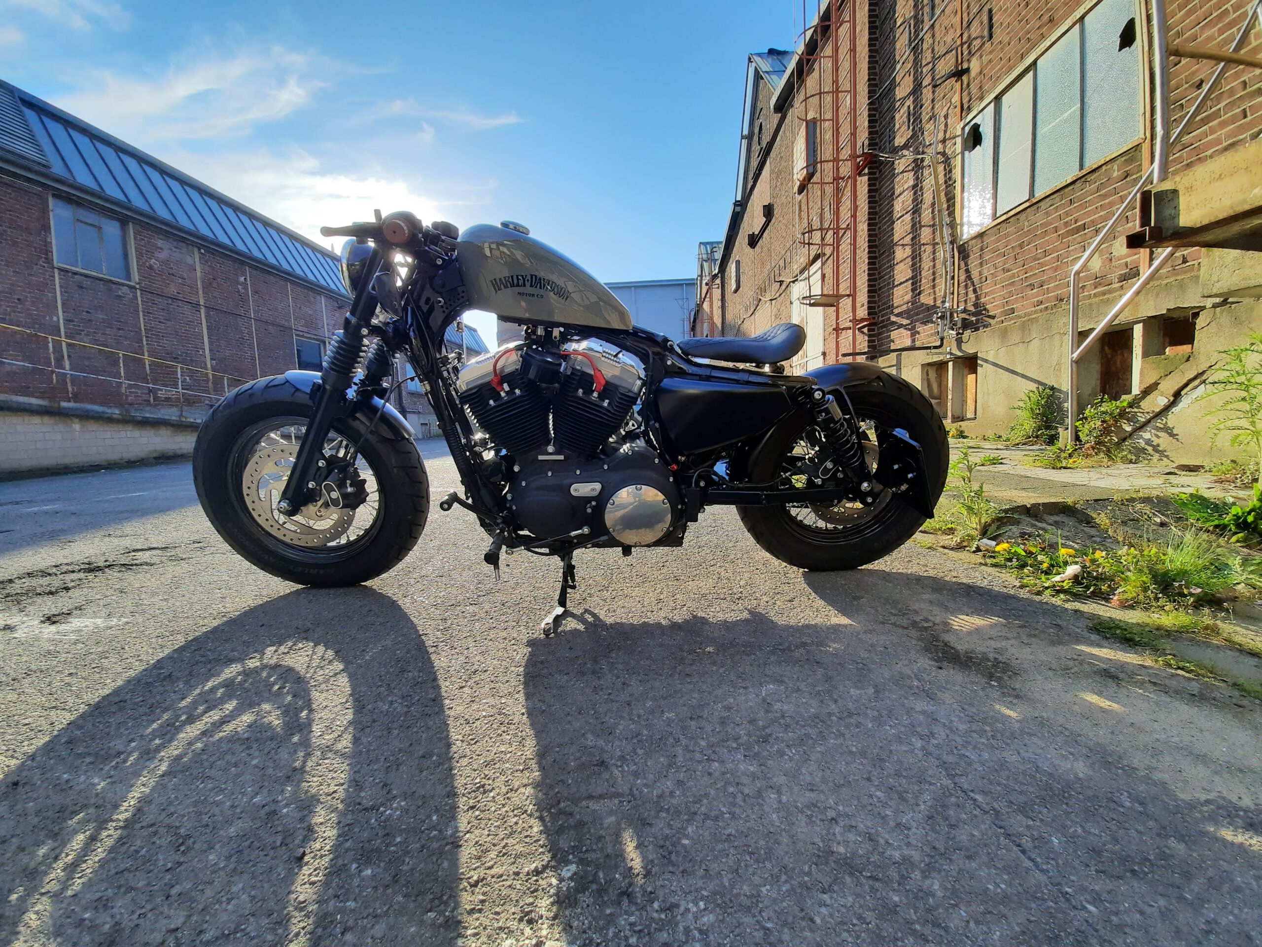 Tribune Sportster 10