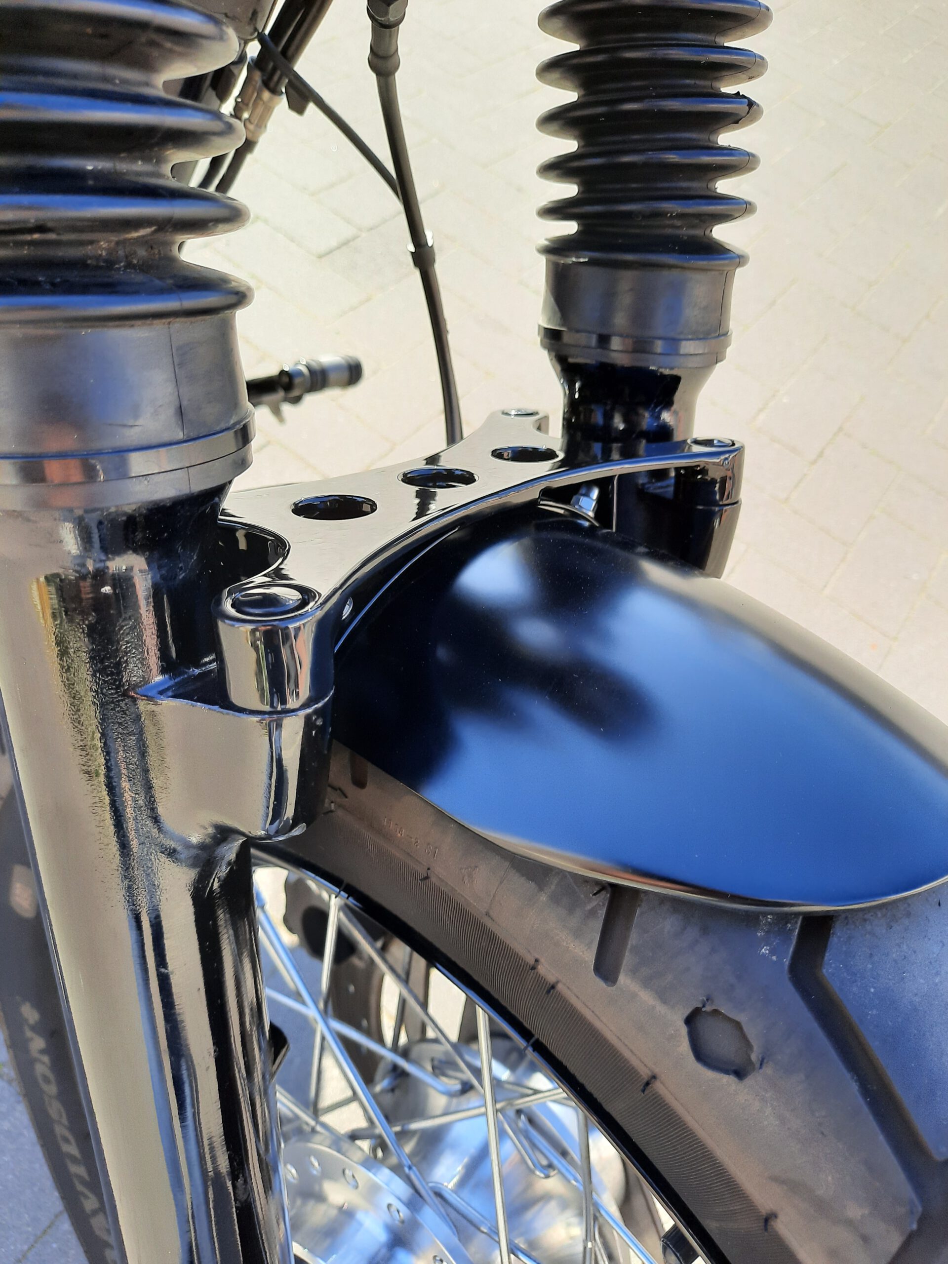 Tribune Sportster 12