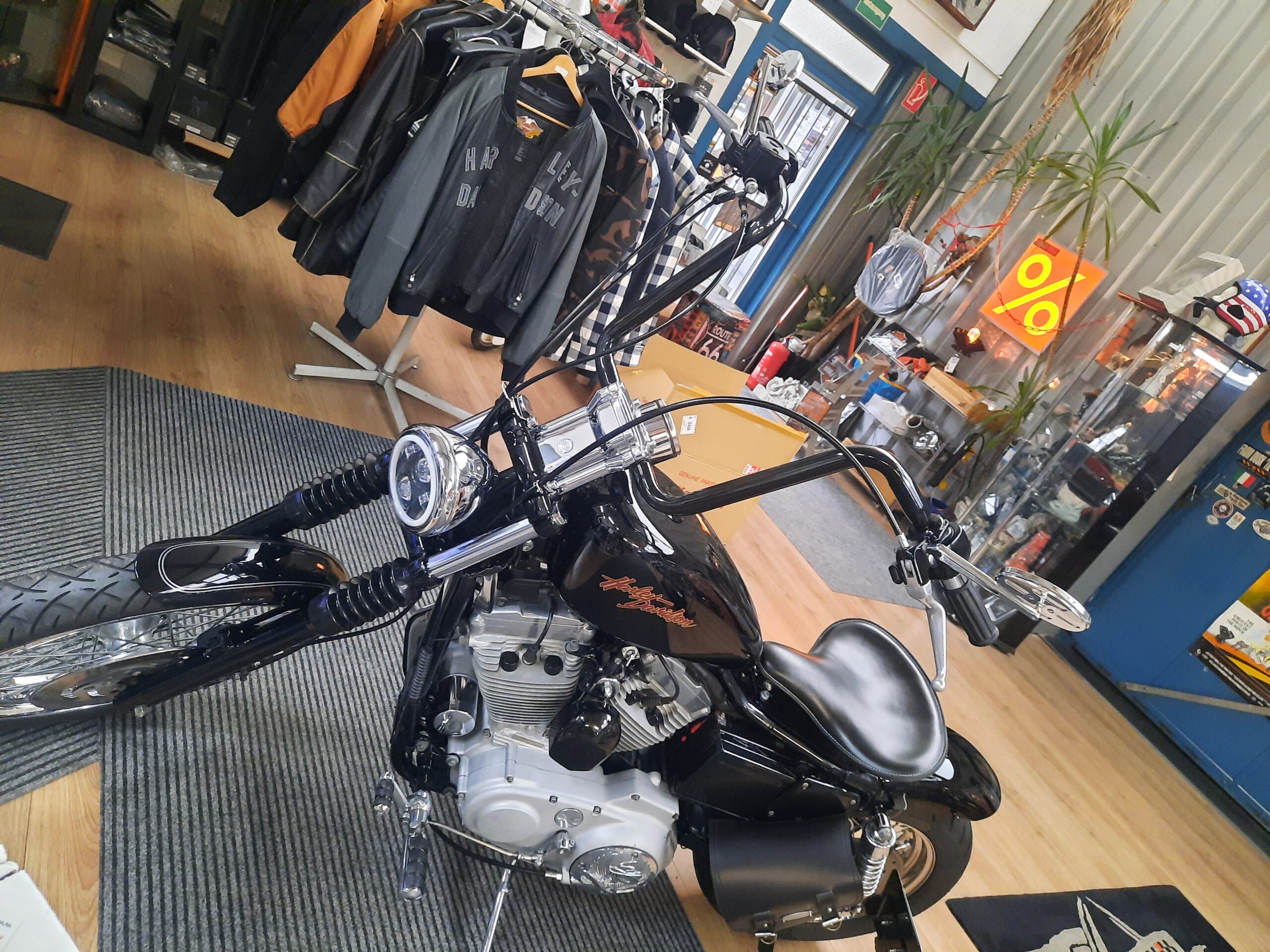 Tribune Sportster 29