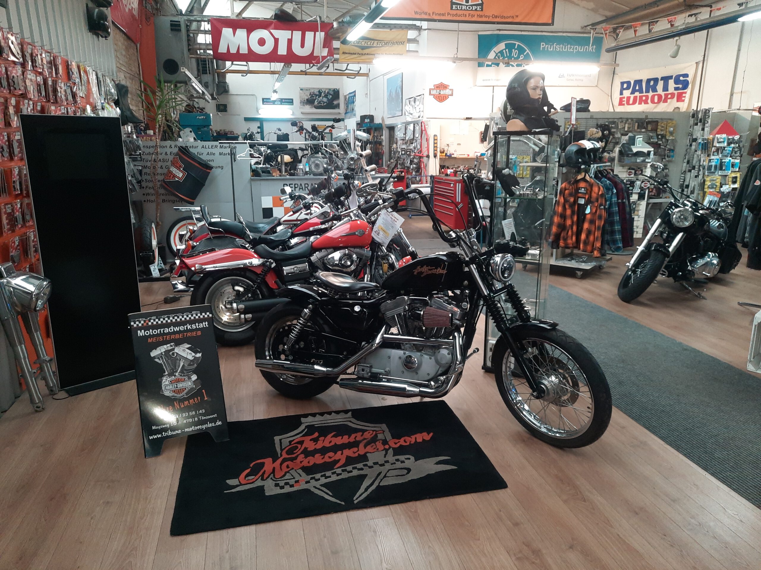 Tribune Sportster 31