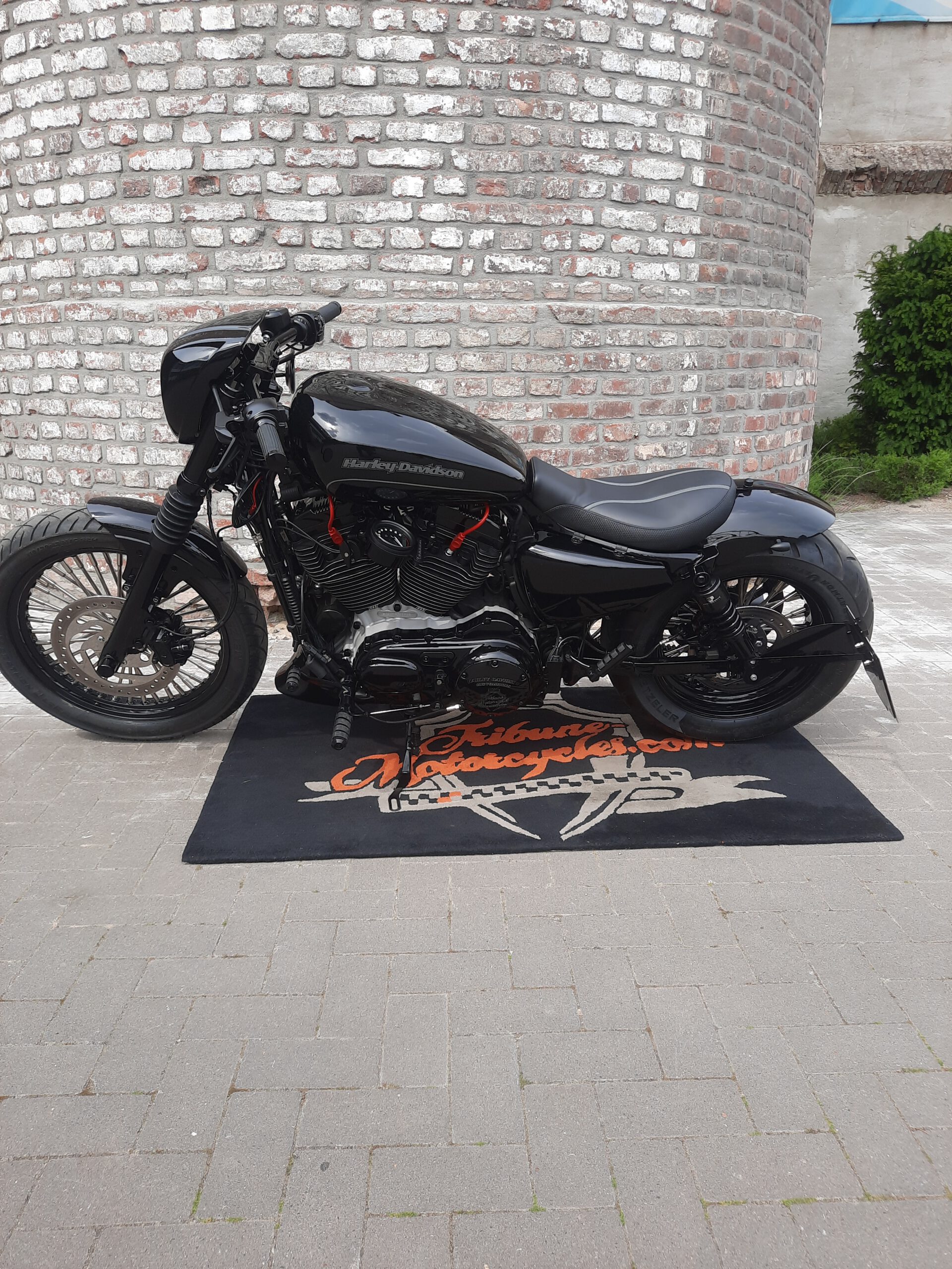 Tribune Sportster 40