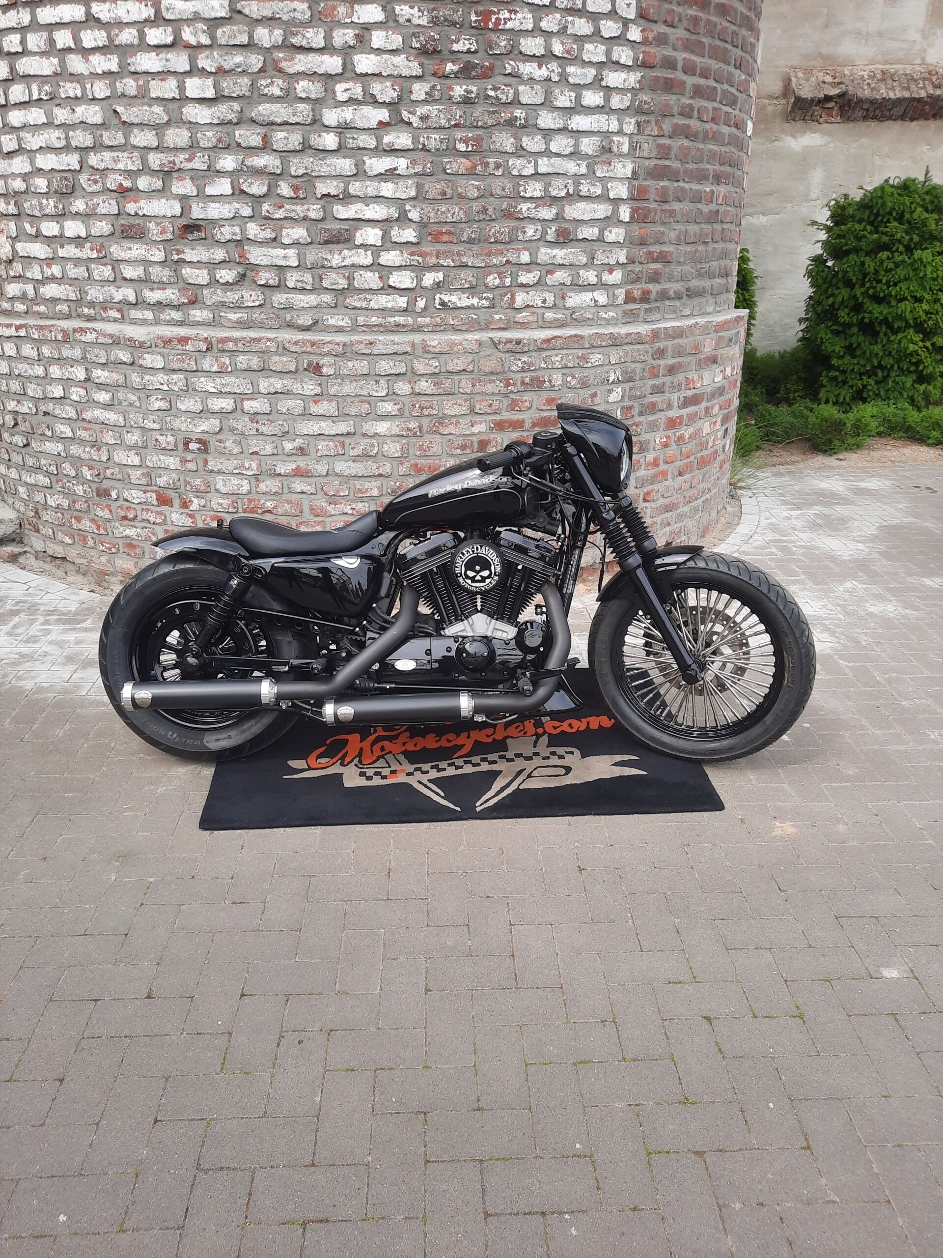 Tribune Sportster 41