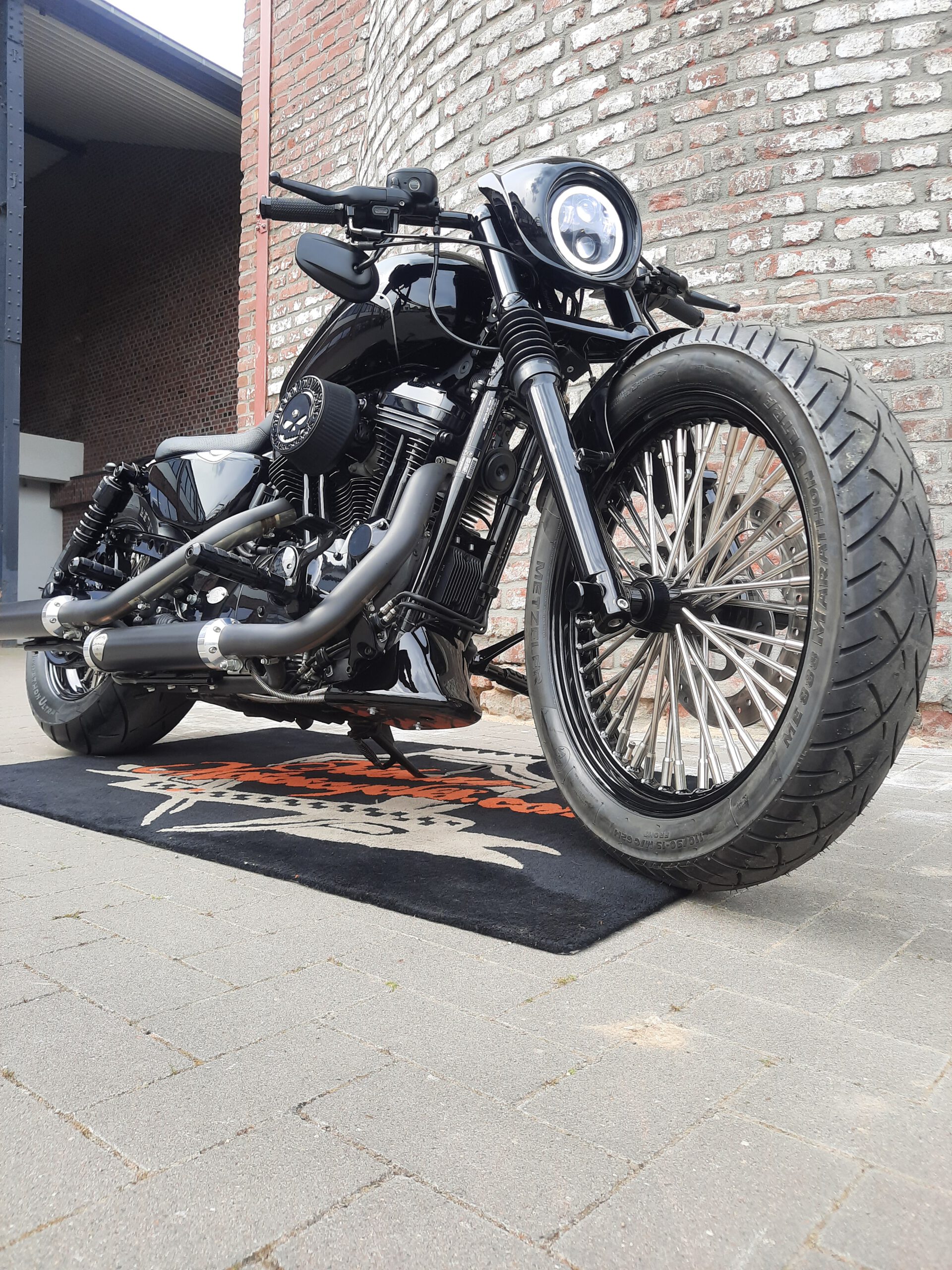 Tribune Sportster 42