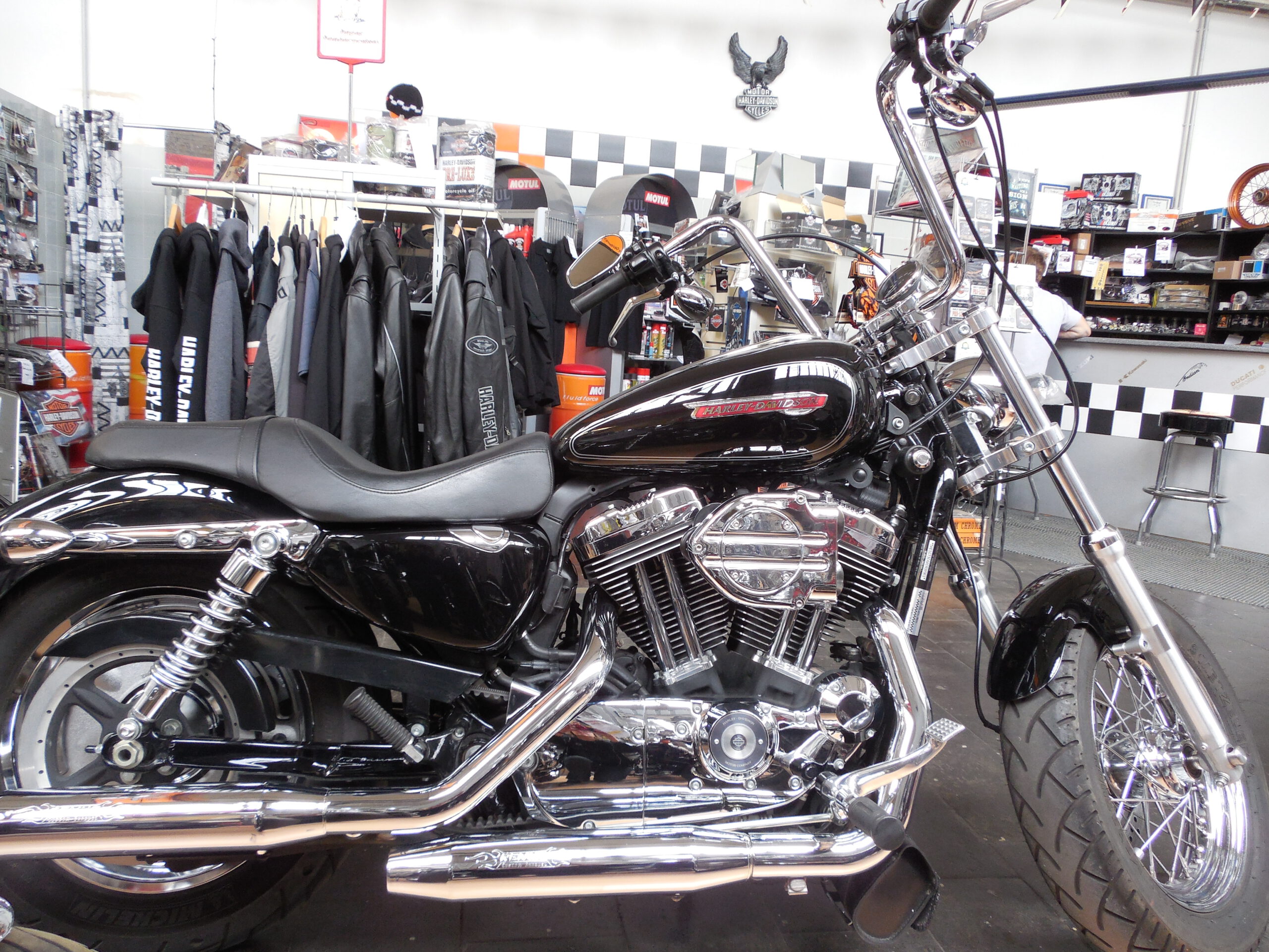 Tribune Sportster 19