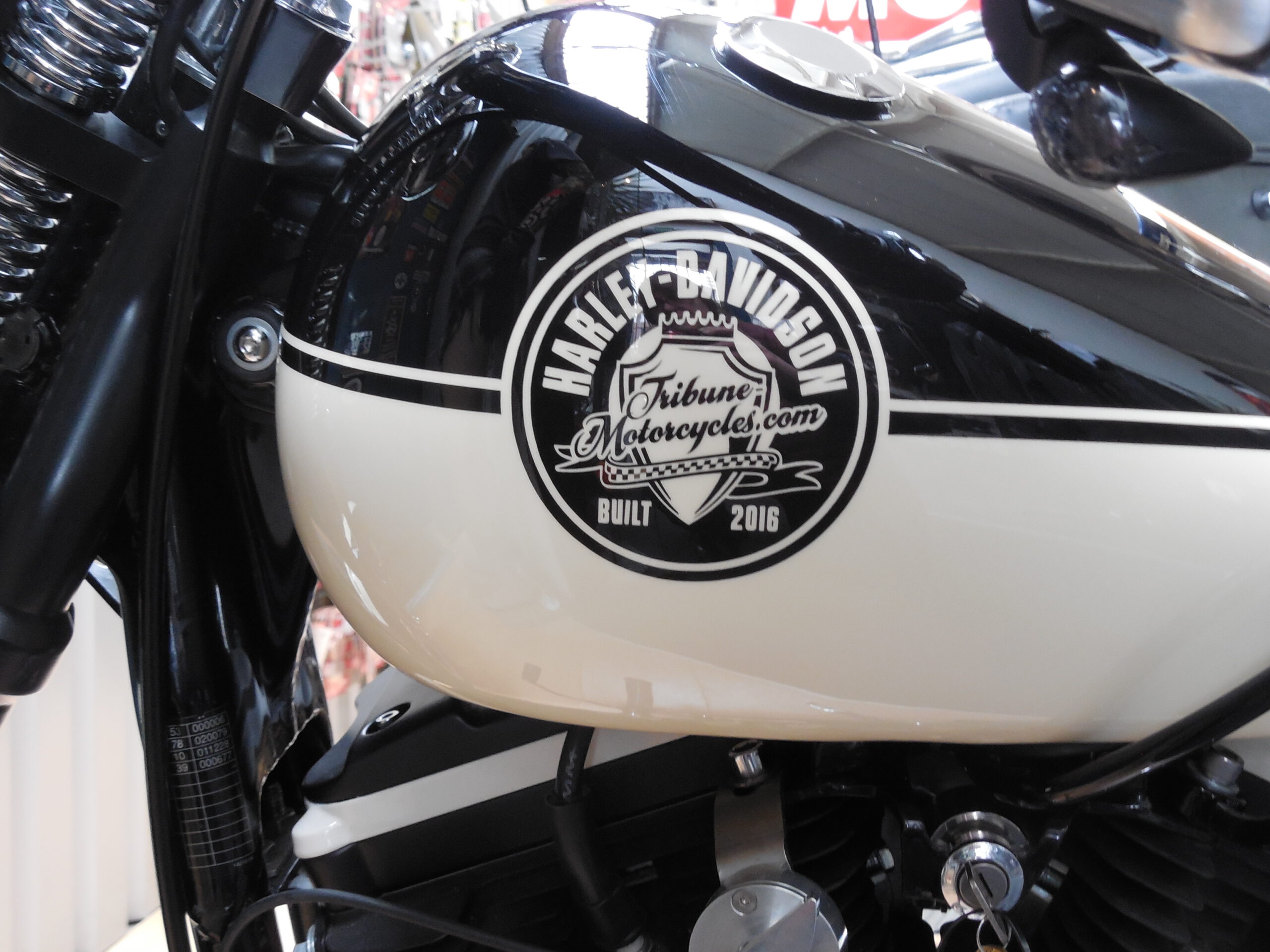 Tribune Sportster 38