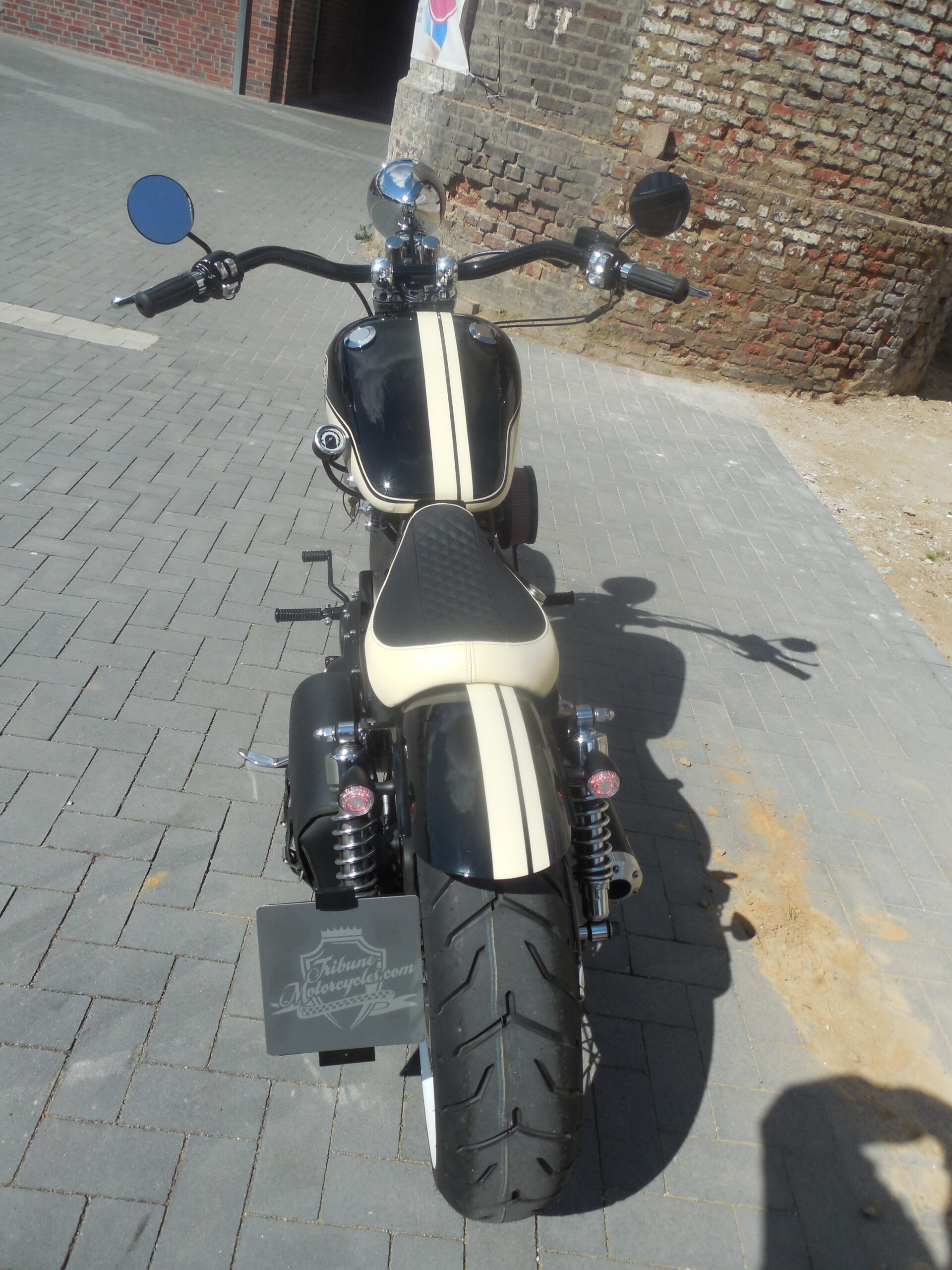 Tribune Sportster 37