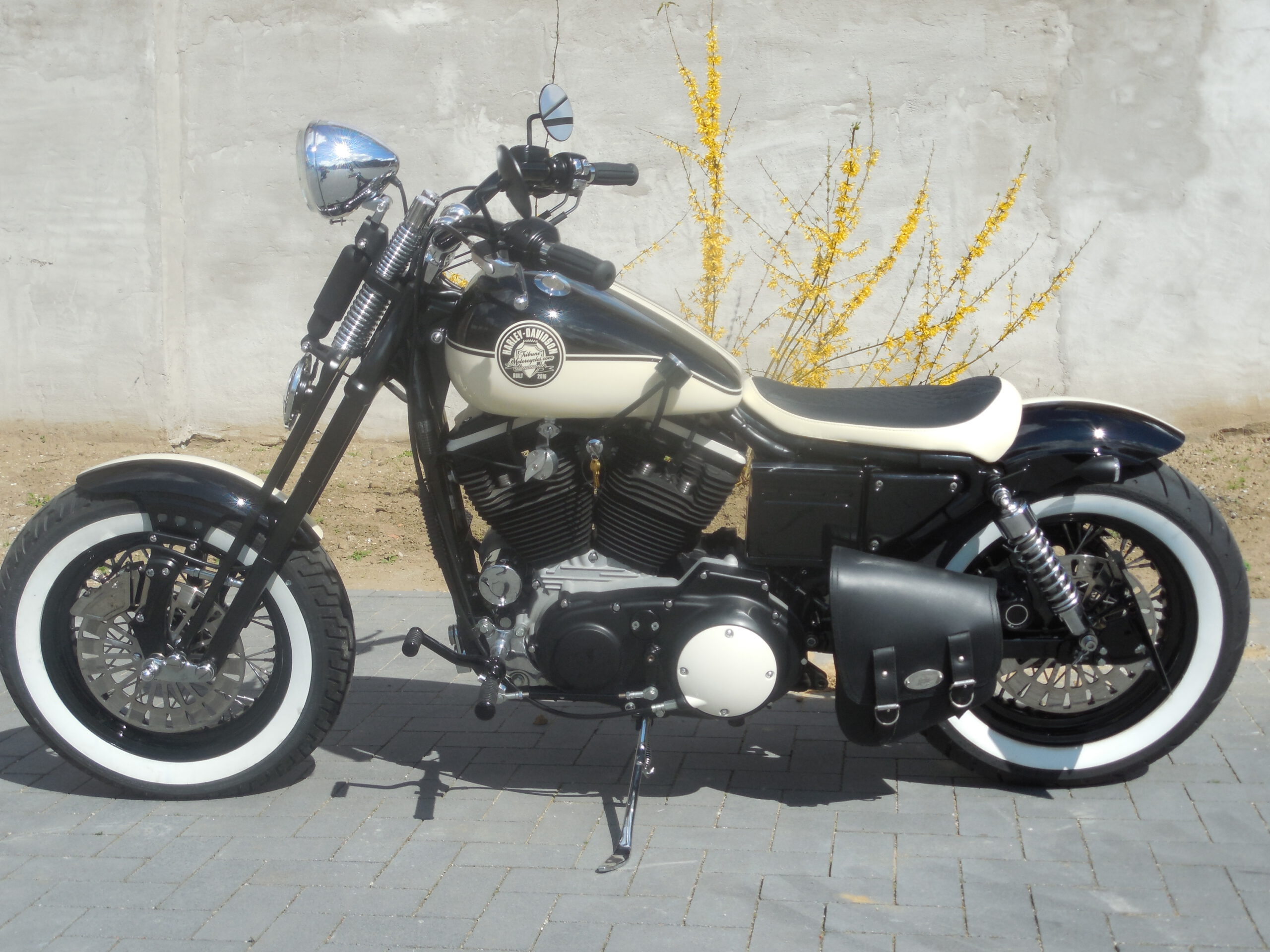 Tribune Sportster 36