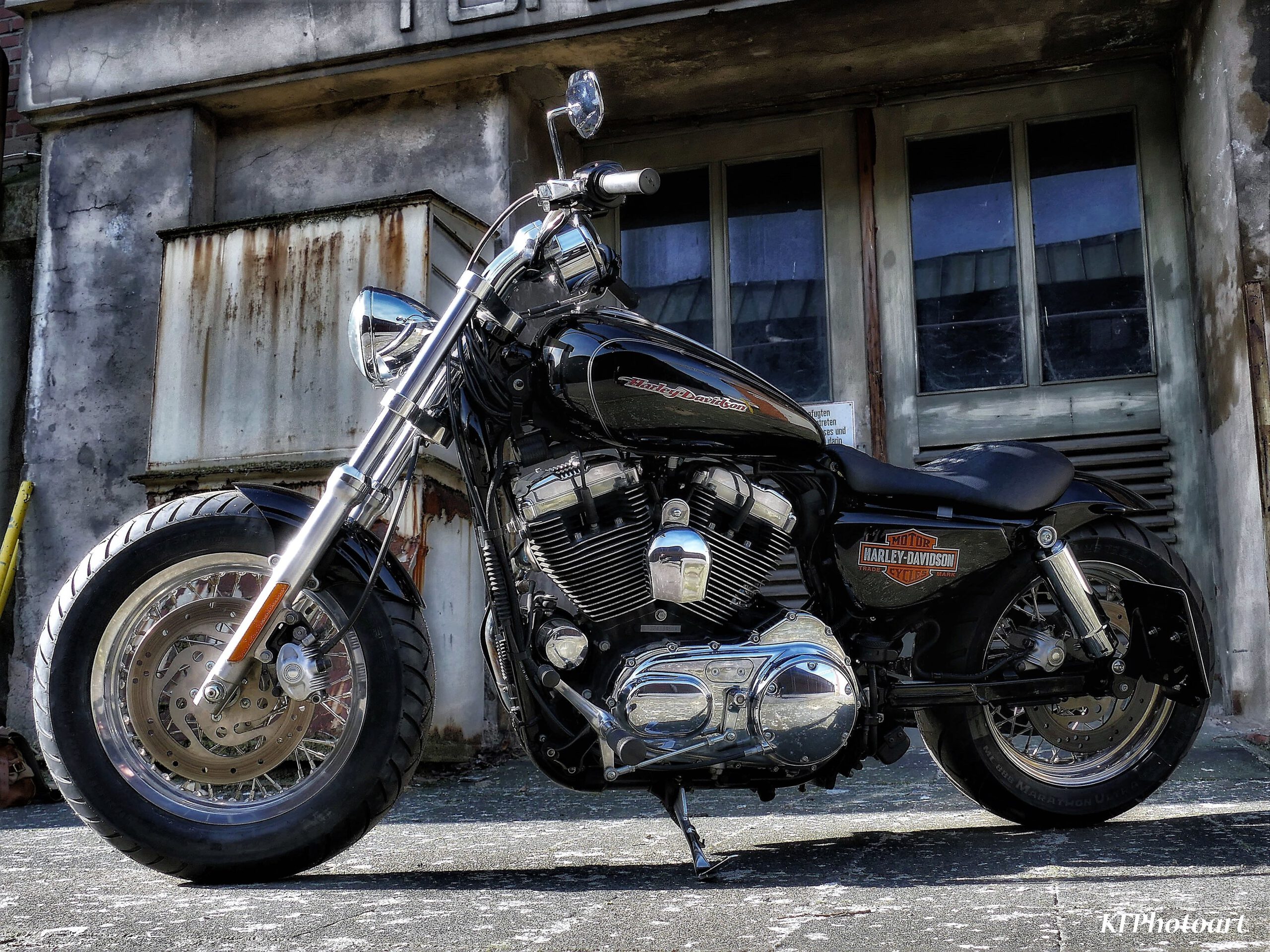 Tribune Sportster 21