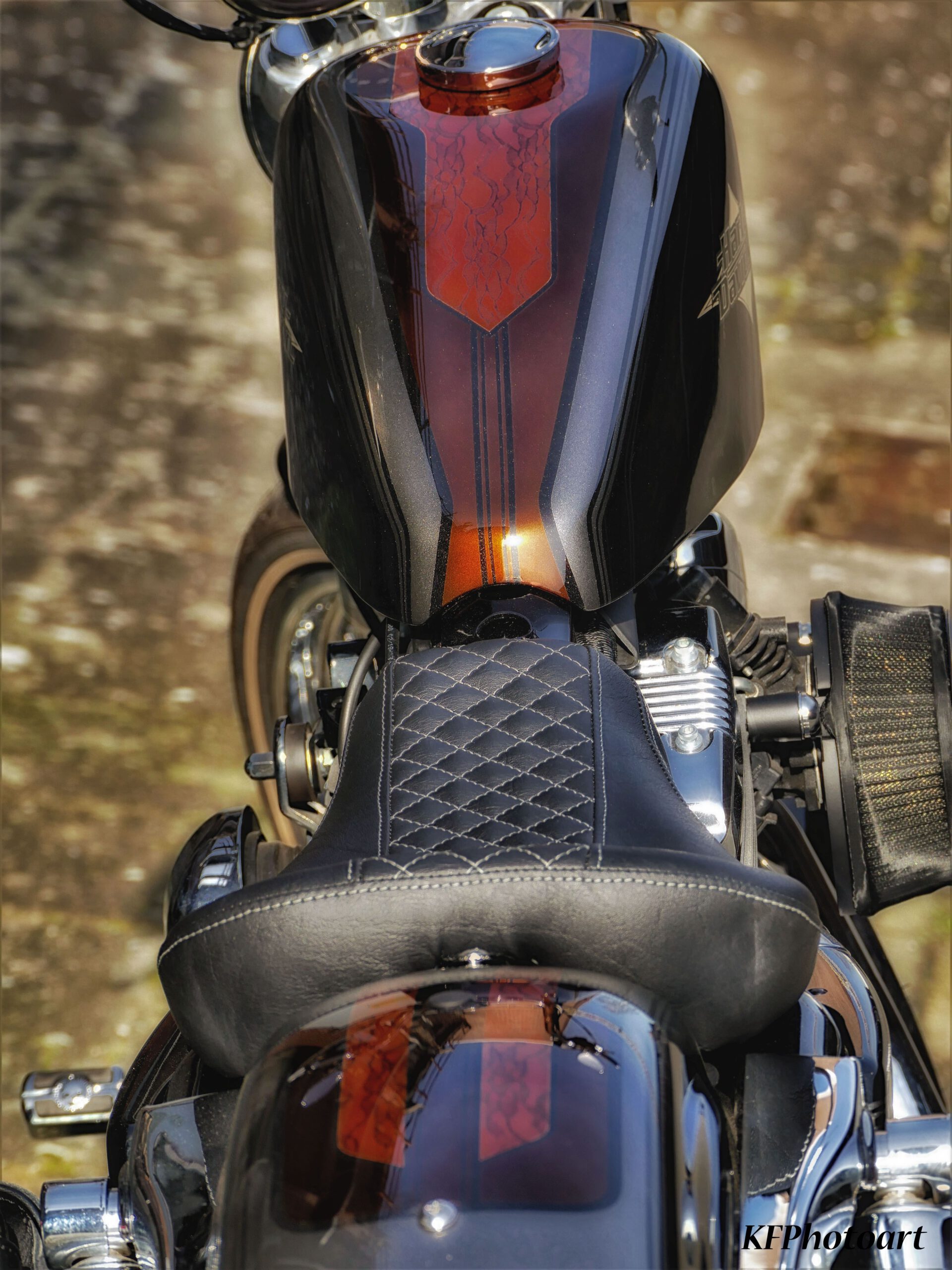 Tribune Sportster 34