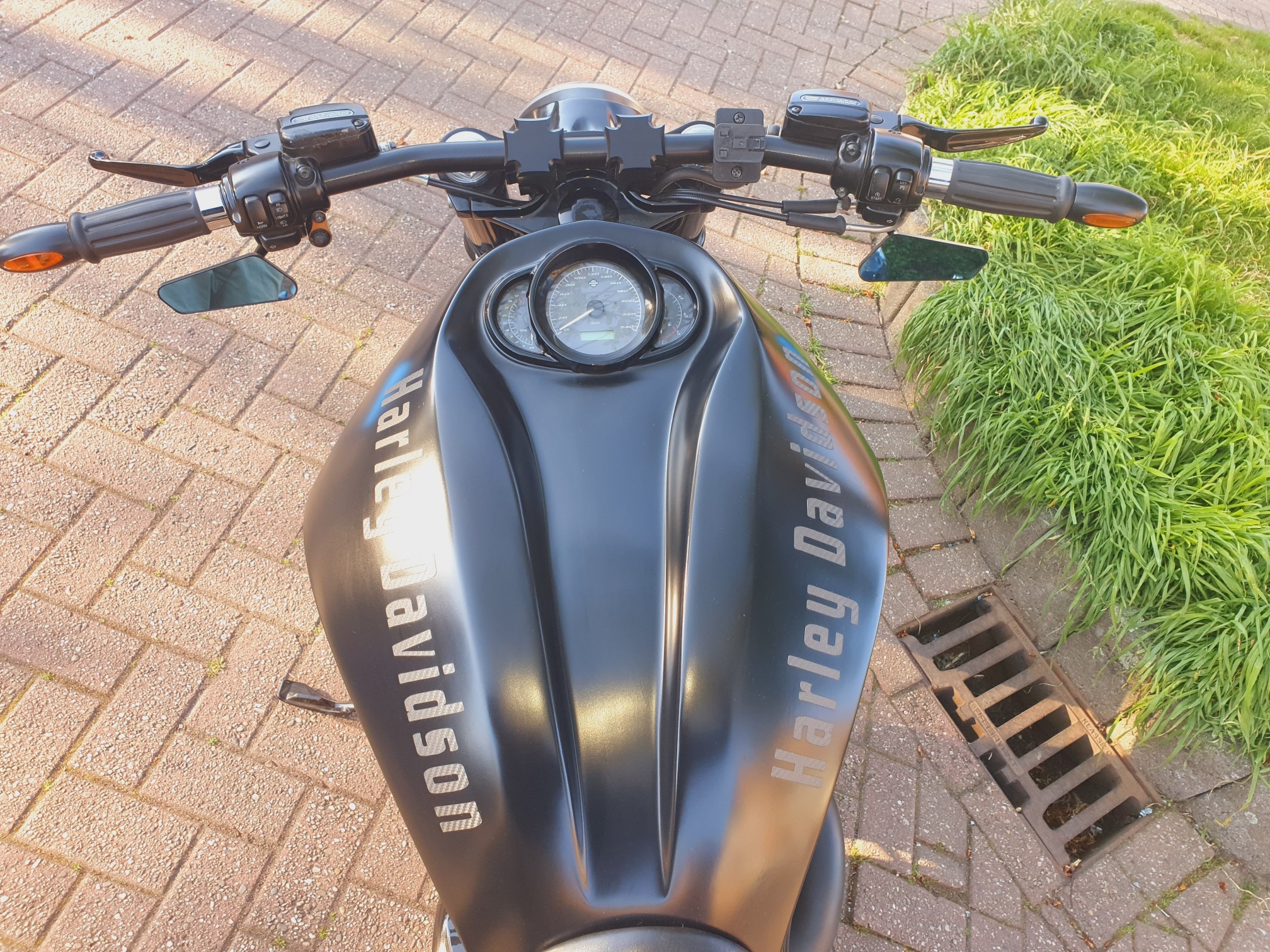 Tribune V-Rod 7