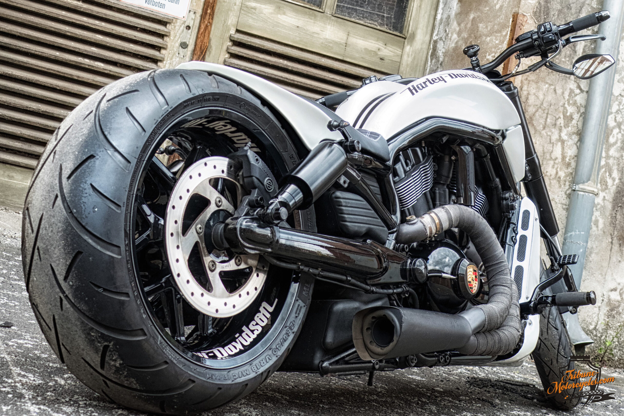Tribune V-Rod 1