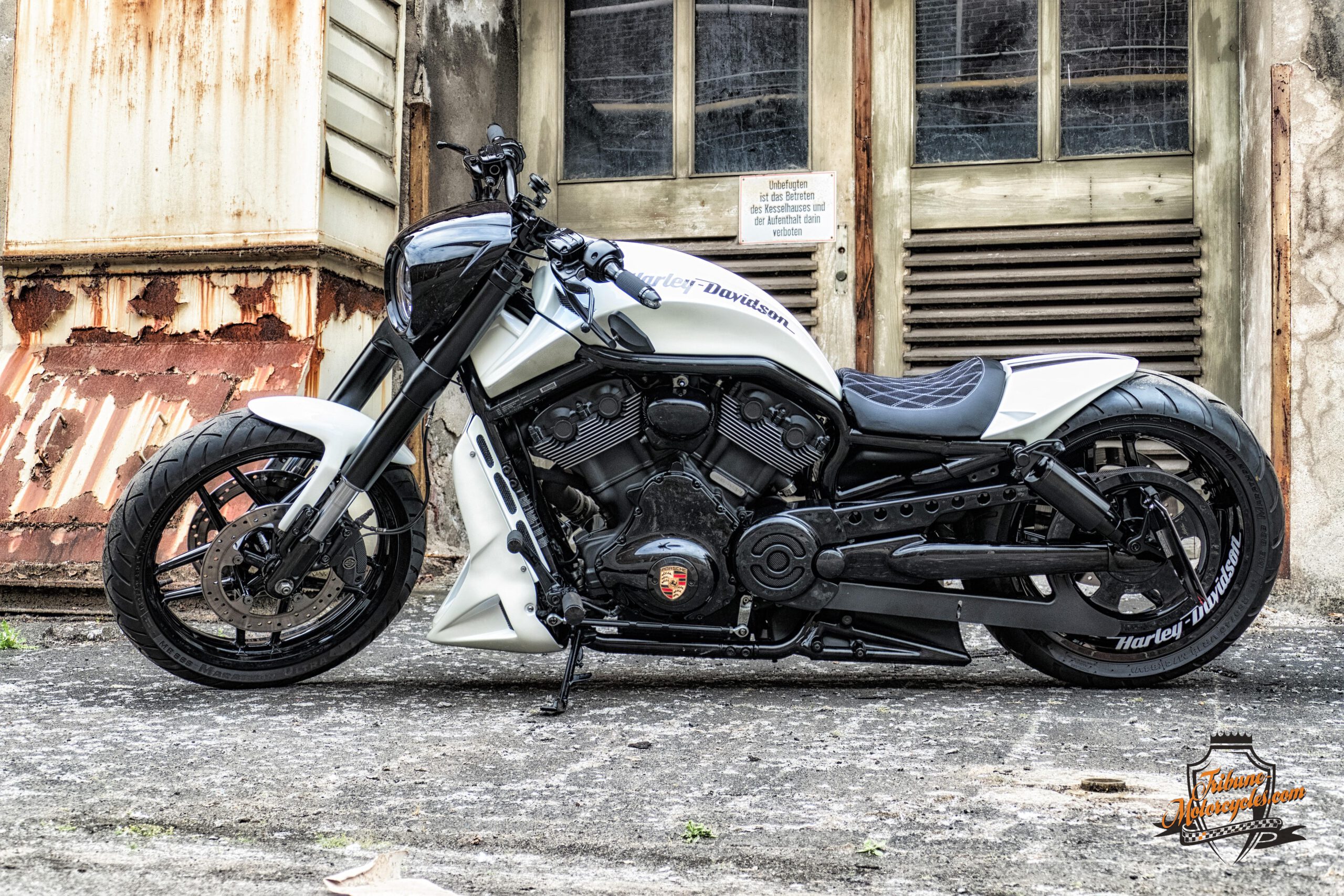 Tribune V-Rod 2