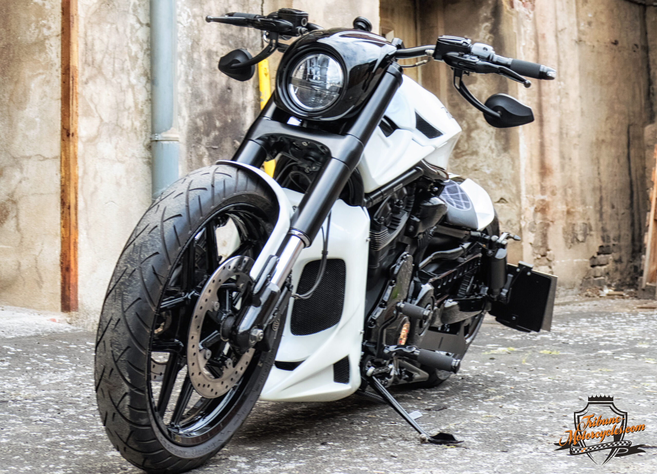 Tribune V-Rod 3